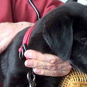 KK Elli vierailee Koskelassa