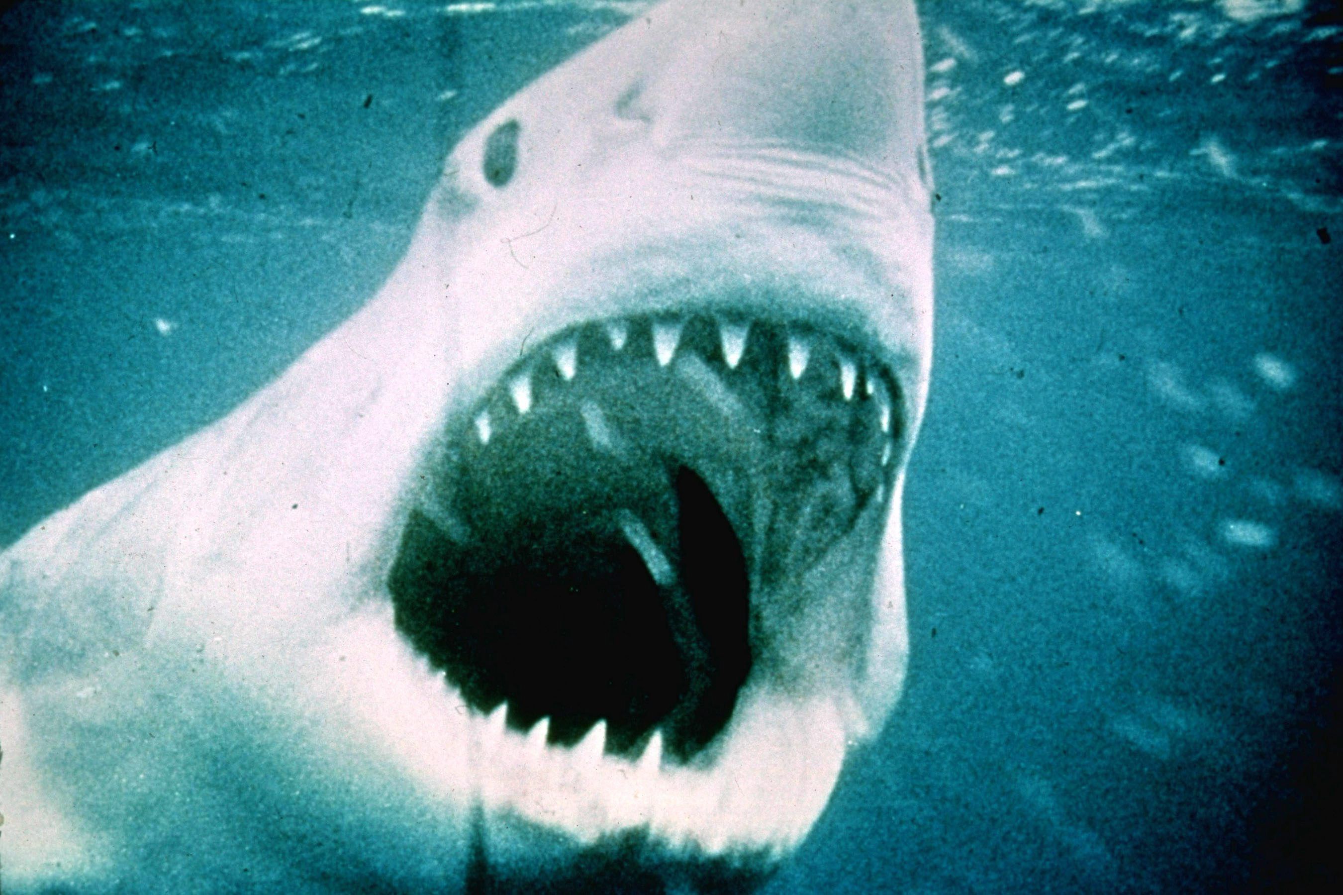 Kuva: Universal Studios International / Sanoma arkisto