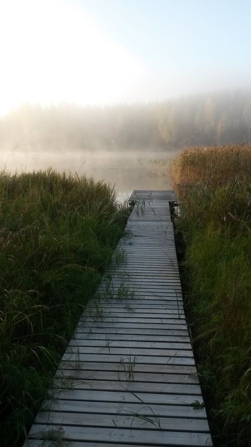 ”Papan tekemää vanhaa laituria on tarpeen mukaan korjailtu.” – Lippo