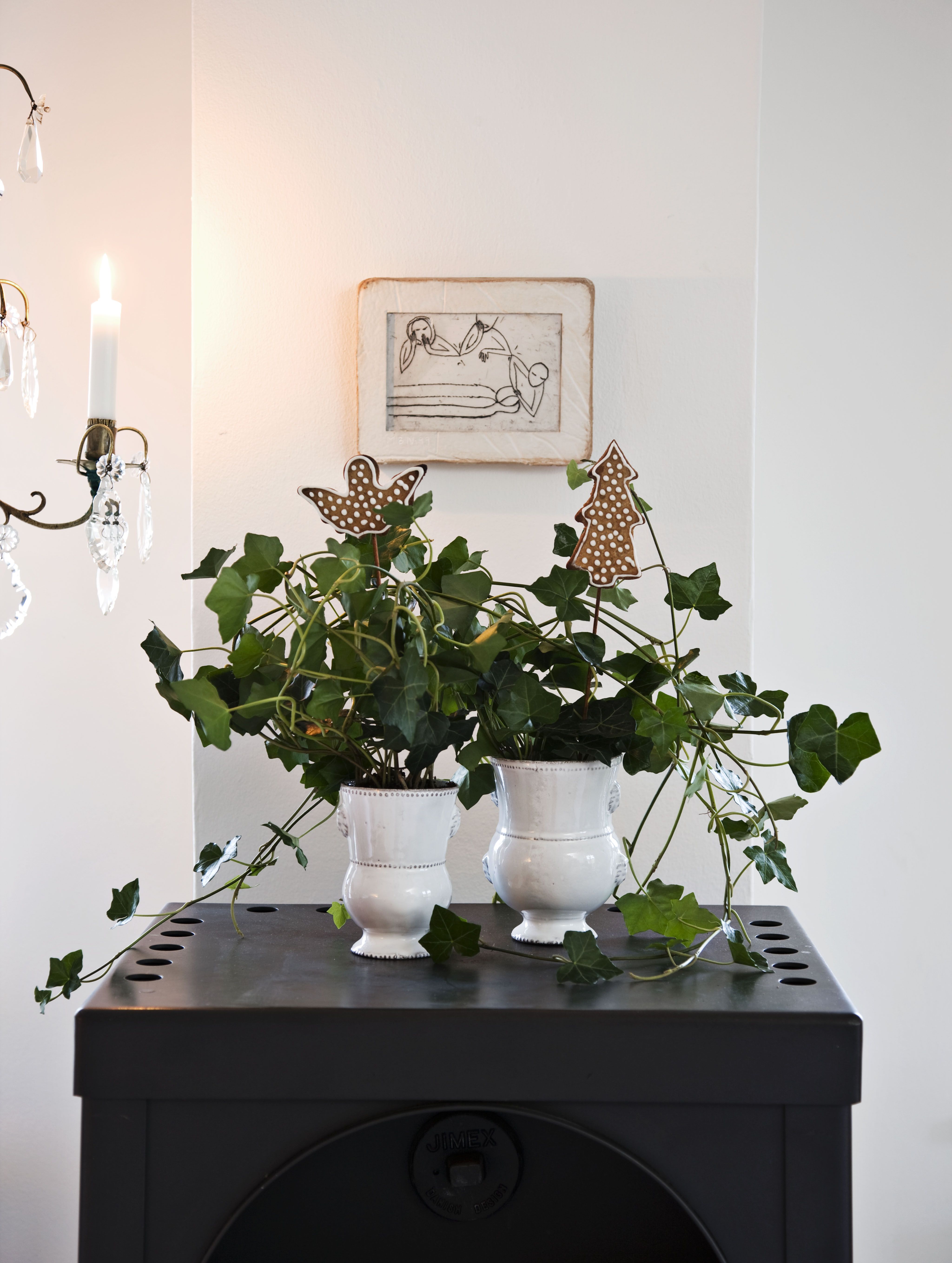 Simsalabim! Muratti muuttui huonekasvista joulupuuksi. Jos et malta laittaa piparinekkuja koristeeksi, syö ne.