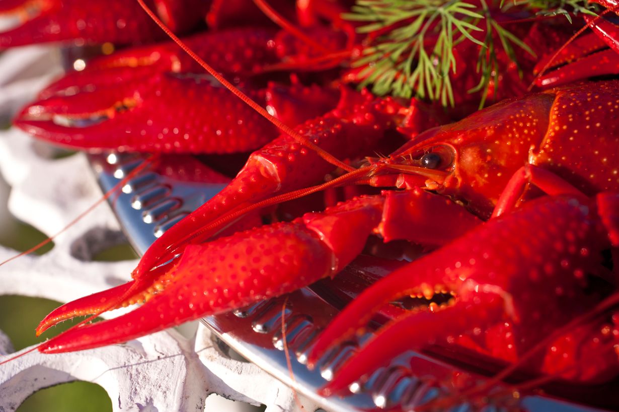 Rapujuhlissa ravut ovat pääosassa, mutta muutamalla lisäruualla vieraiden vatsat täyttyvät varmasti.