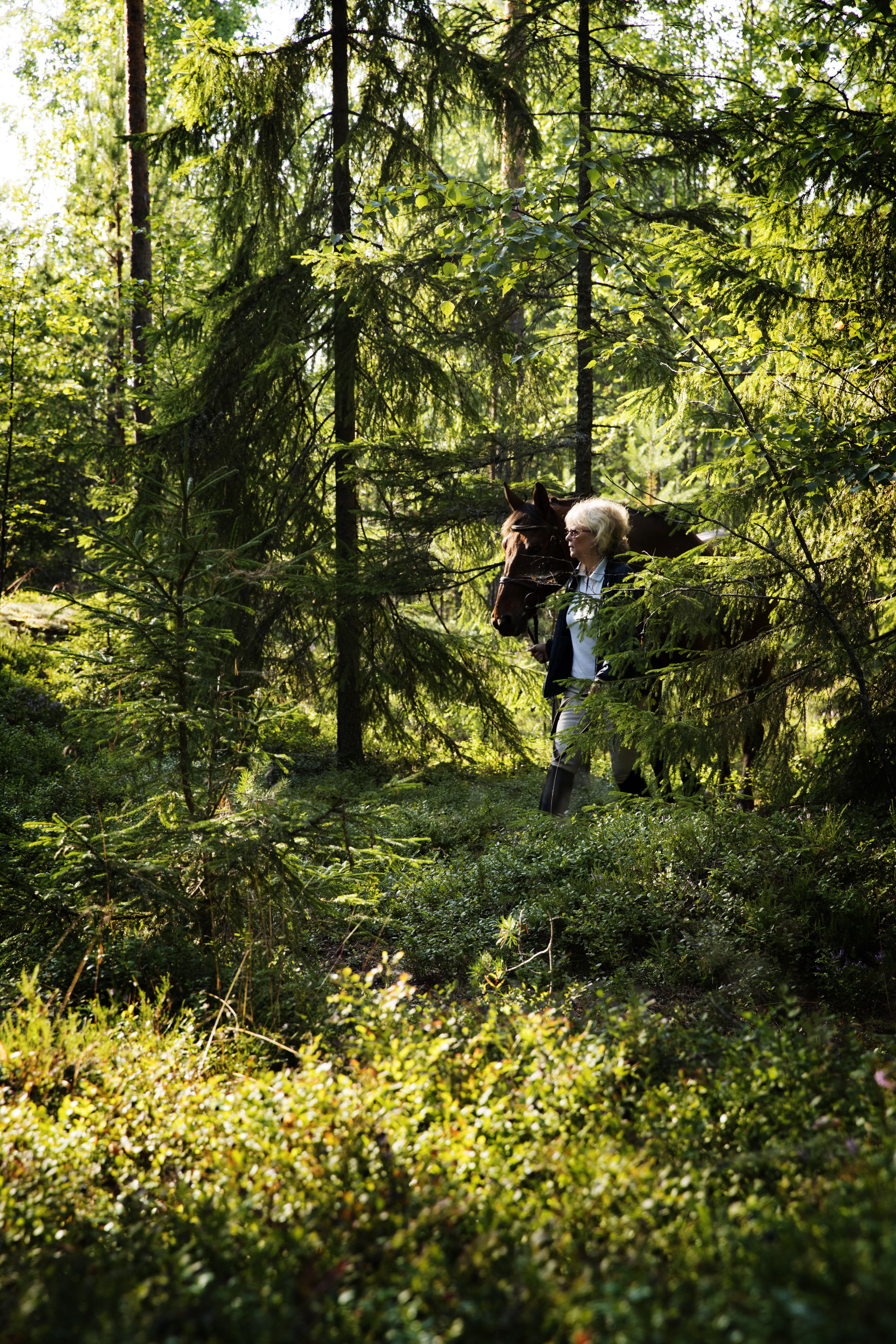 Vuosi sitten muutin kaupungista maalle, meren ja metsän väliin. Rentoutuminen on minulle välillä vaikeaa, mutta metsä ja hevonen auttavat aina.