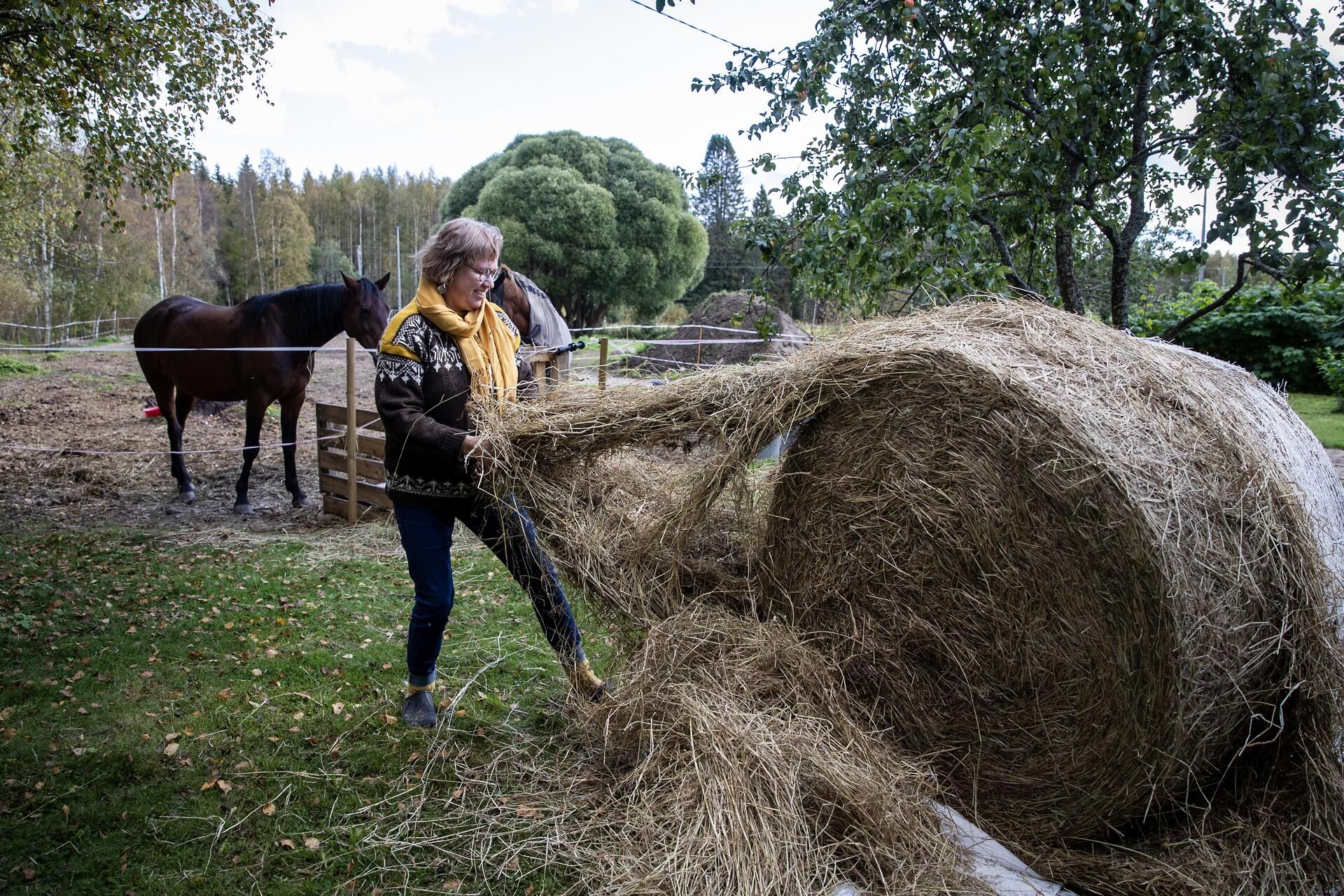 "Tutkimuksista tiedetään, että eläimen läsnäolo laskee verenpainetta ja jopa sykettä. Huomaan tämän itsekin hevosten kanssa", Päivi sanoo.