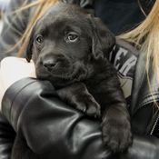 KK Elli tapaa perheen