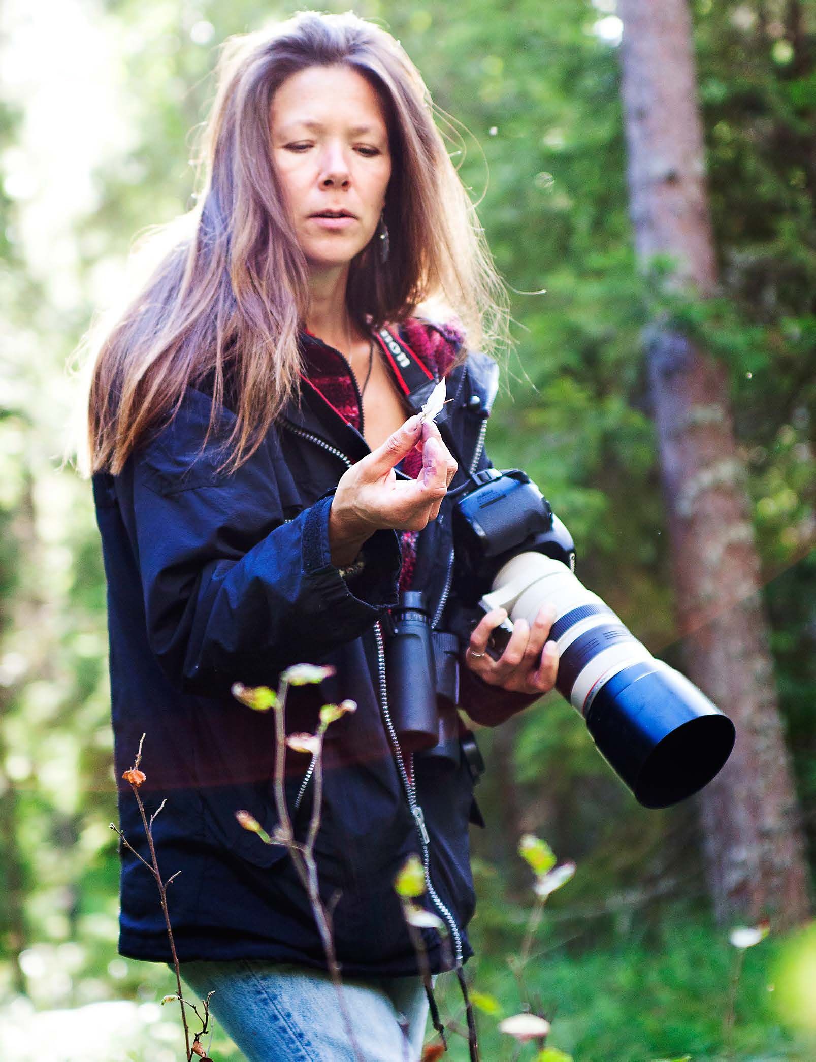 Joutsen kävi täällä. Kaarina kerää sulkia muistuttamaan vapaudesta.