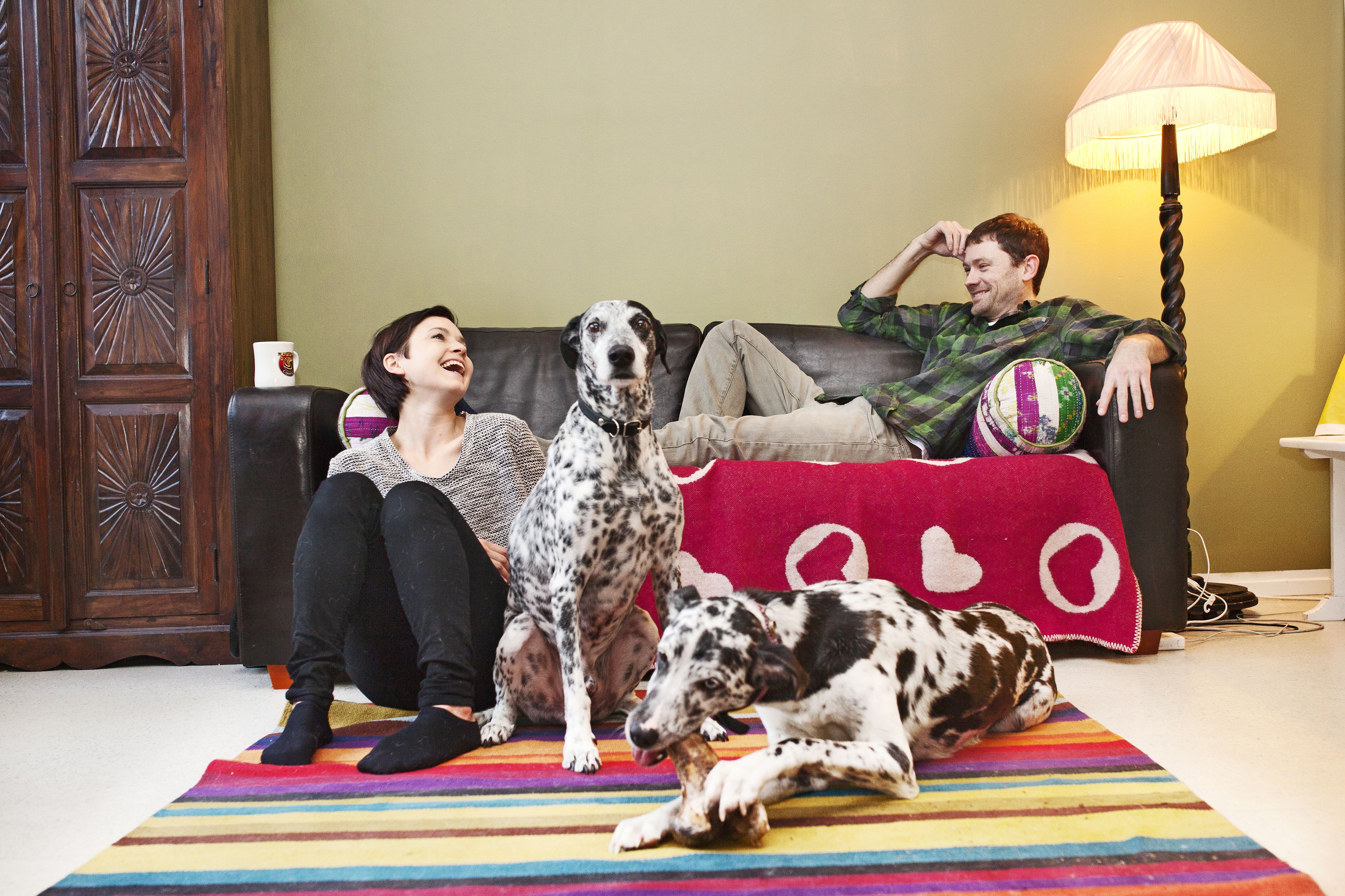 Marjan, Andyn sekä lapsien Miles­in ja Mimin perheeseen kuuluvat myös espanjalaiset löytökoirat Doora ja Koko.