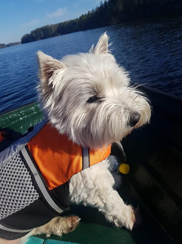 "Veneily sujuu Eetulta hyvin", kertoo Inga Herranen.