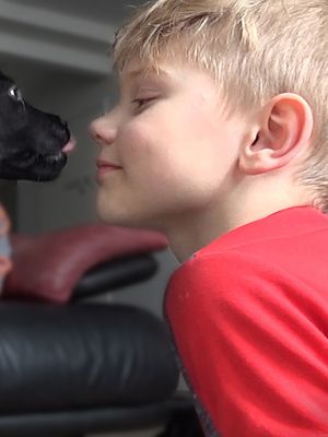 KK Elli saa ystäviä