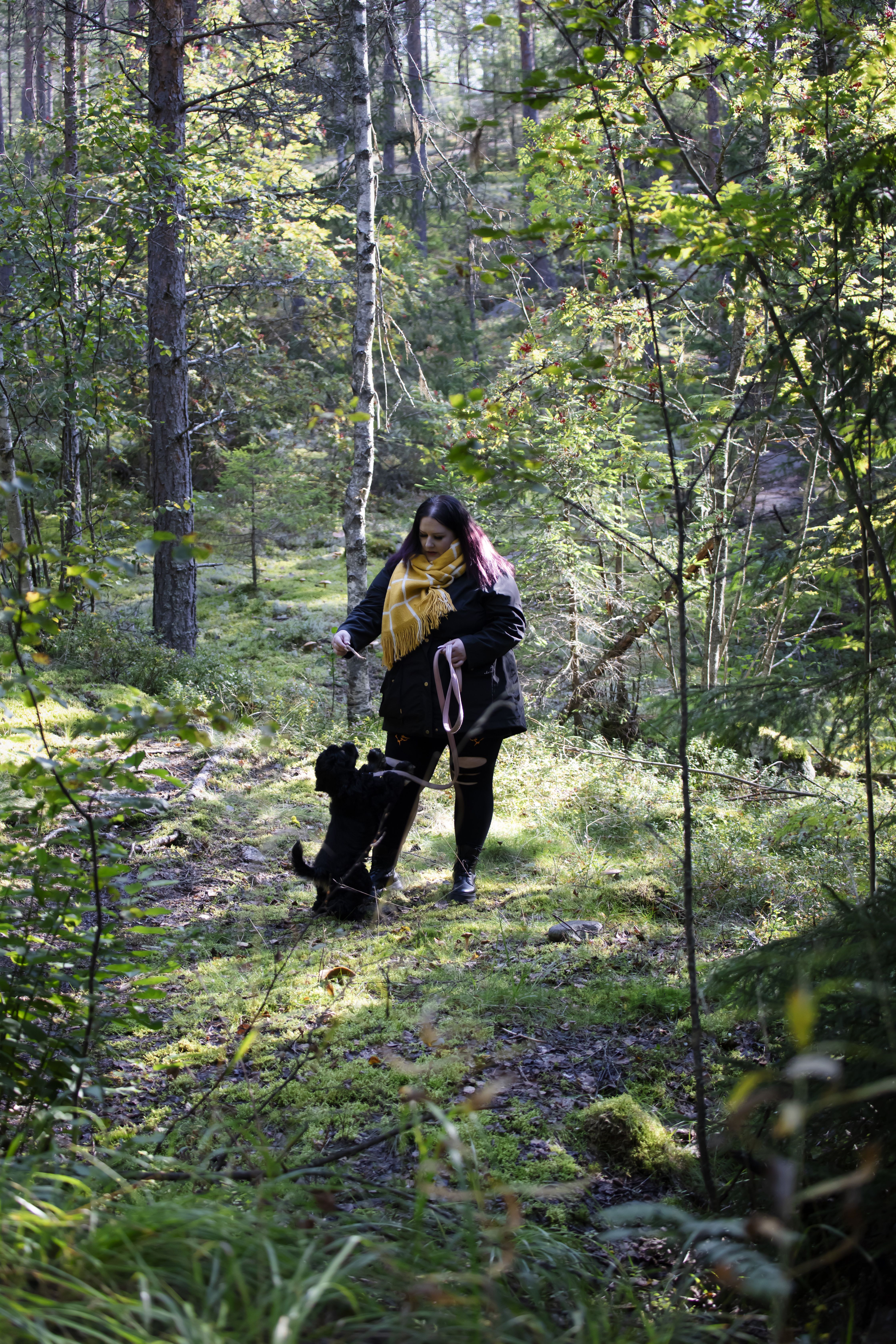 Tiian kodin vierestä lähtee metsäpolkuja, joilla hän vaeltelee amerikancockerspanielinsa Alman kanssa.