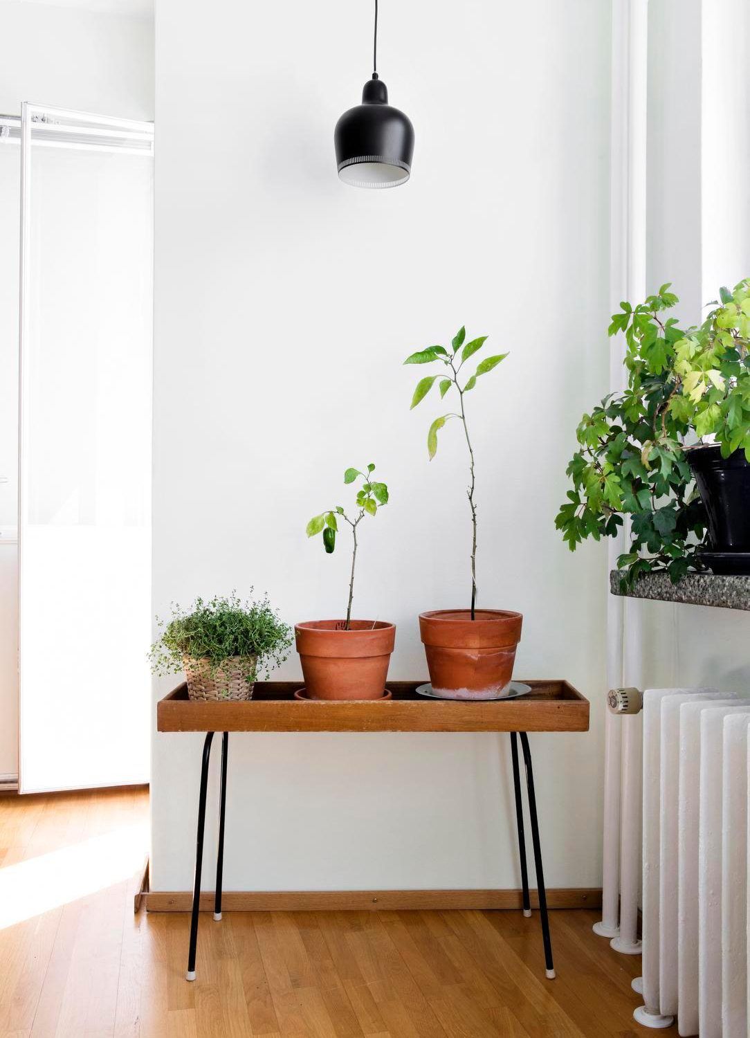 Musta kattovalaisin on Artekin A330. Kukkapöytä löytyi second hand -liikkeestä Helsingistä. Kukkien hoito on perheen yhteinen harrastus.