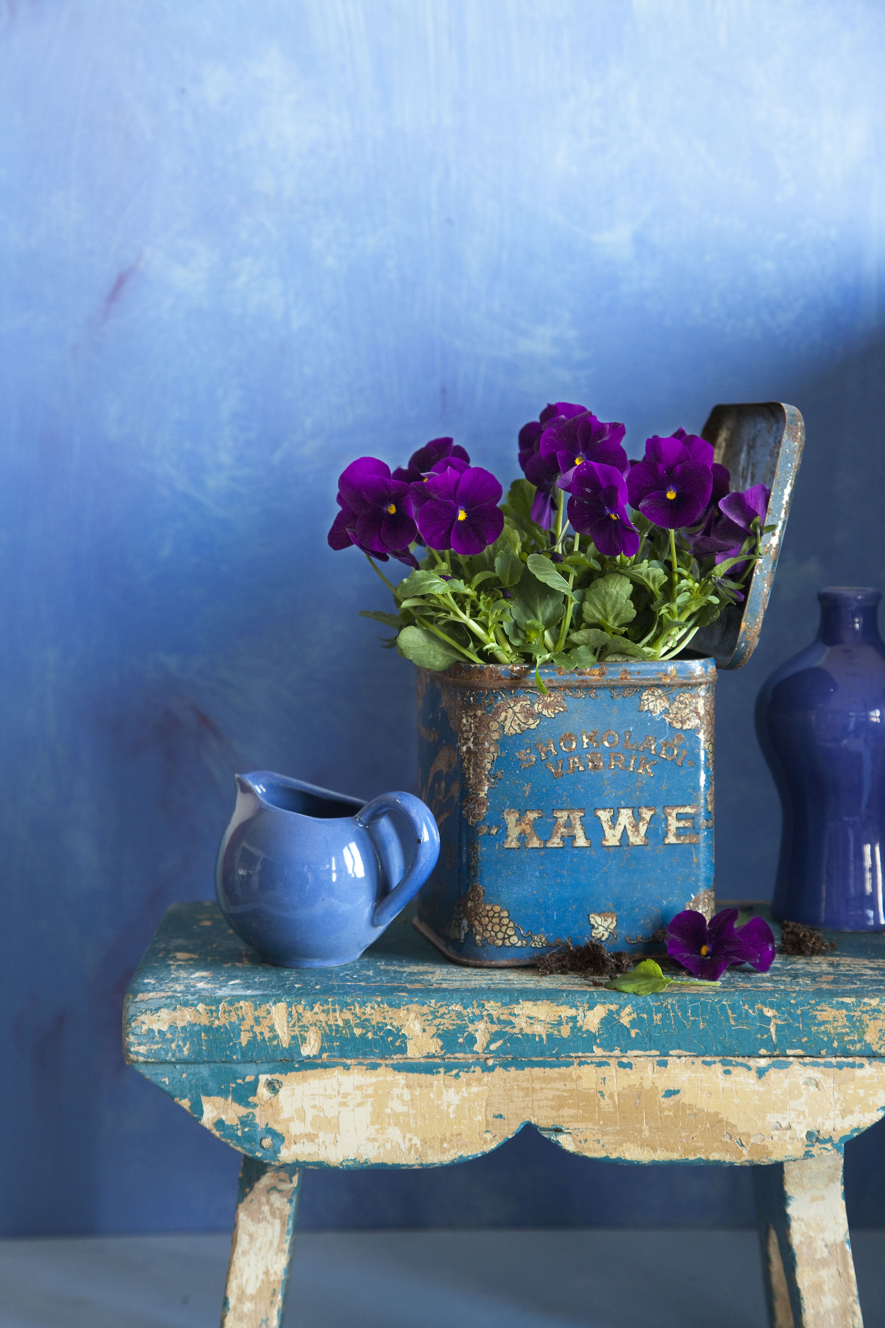 Vanha peltipurkki on persoonallinen ruukunsuojus orvokeille.