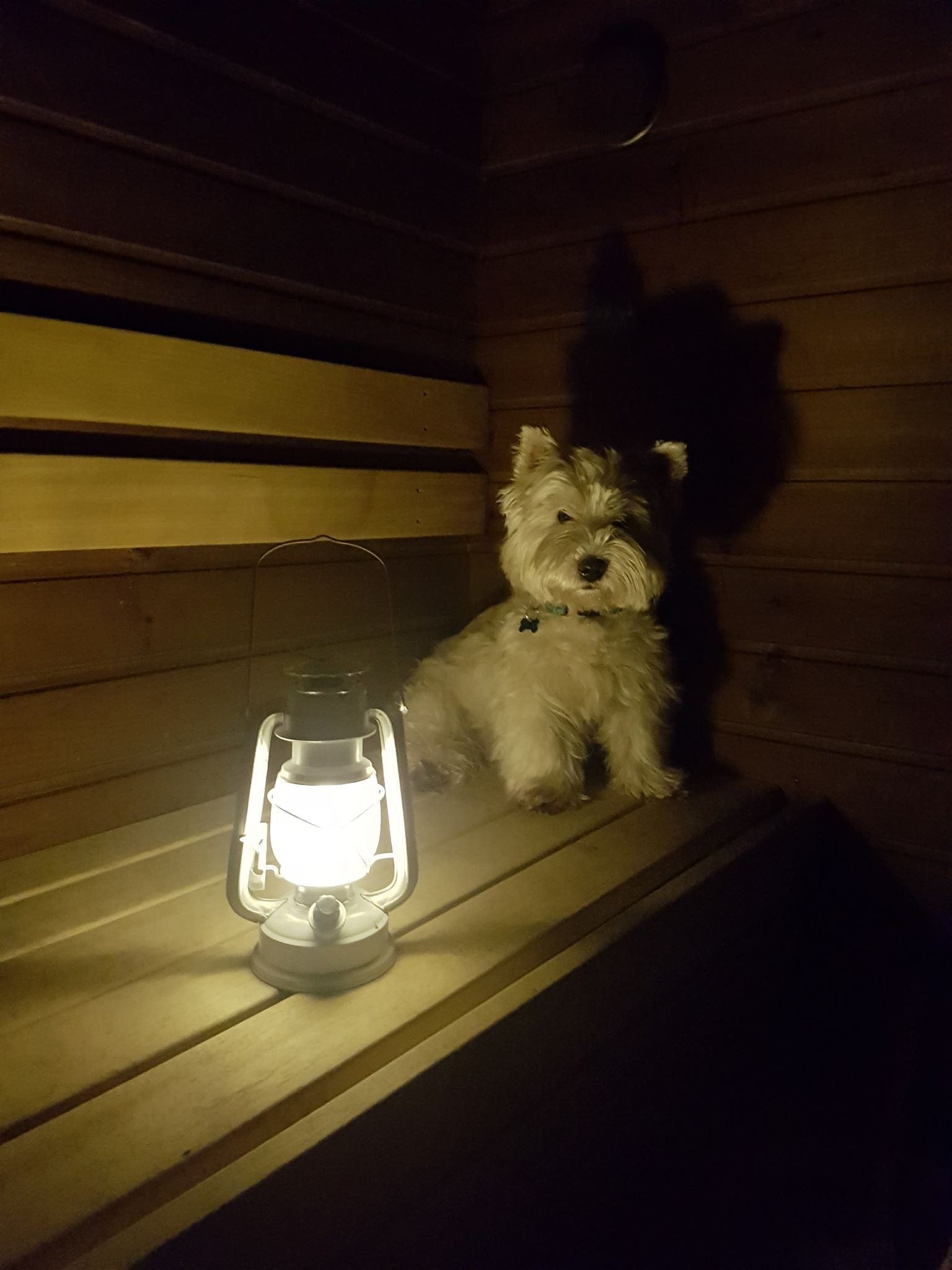 Eetun suosikkipuuhaa on saunominen. Ingan mukaan se on aina ensimmäinen ylälauteilla, löylyjä kaihtamatta. 