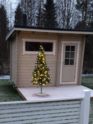 MIllainen on Janina Fryn mielestä täydellinen mekko? 