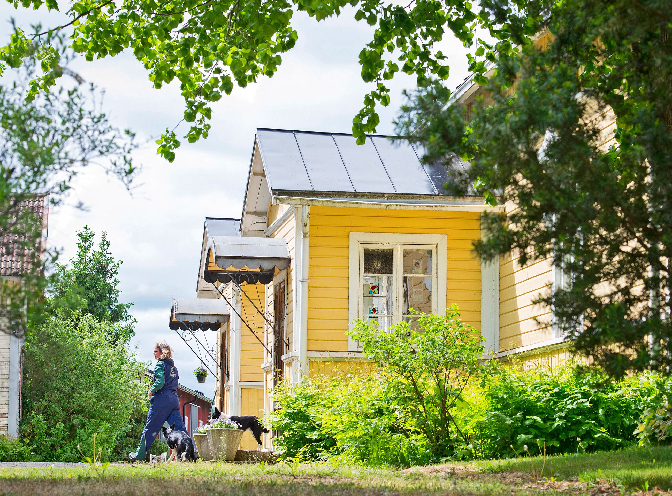 Ympäristöjärjestö WWF ja Maa- ja metsätaloustuottajain keskusliitto valitsivat vounna 2013 Pepin ja Markon Suomen ympäristöystävällisimmiksi viljelijöiksi.&nbsp;"Vasta silloin uskoin, että olen oikealla tiellä."