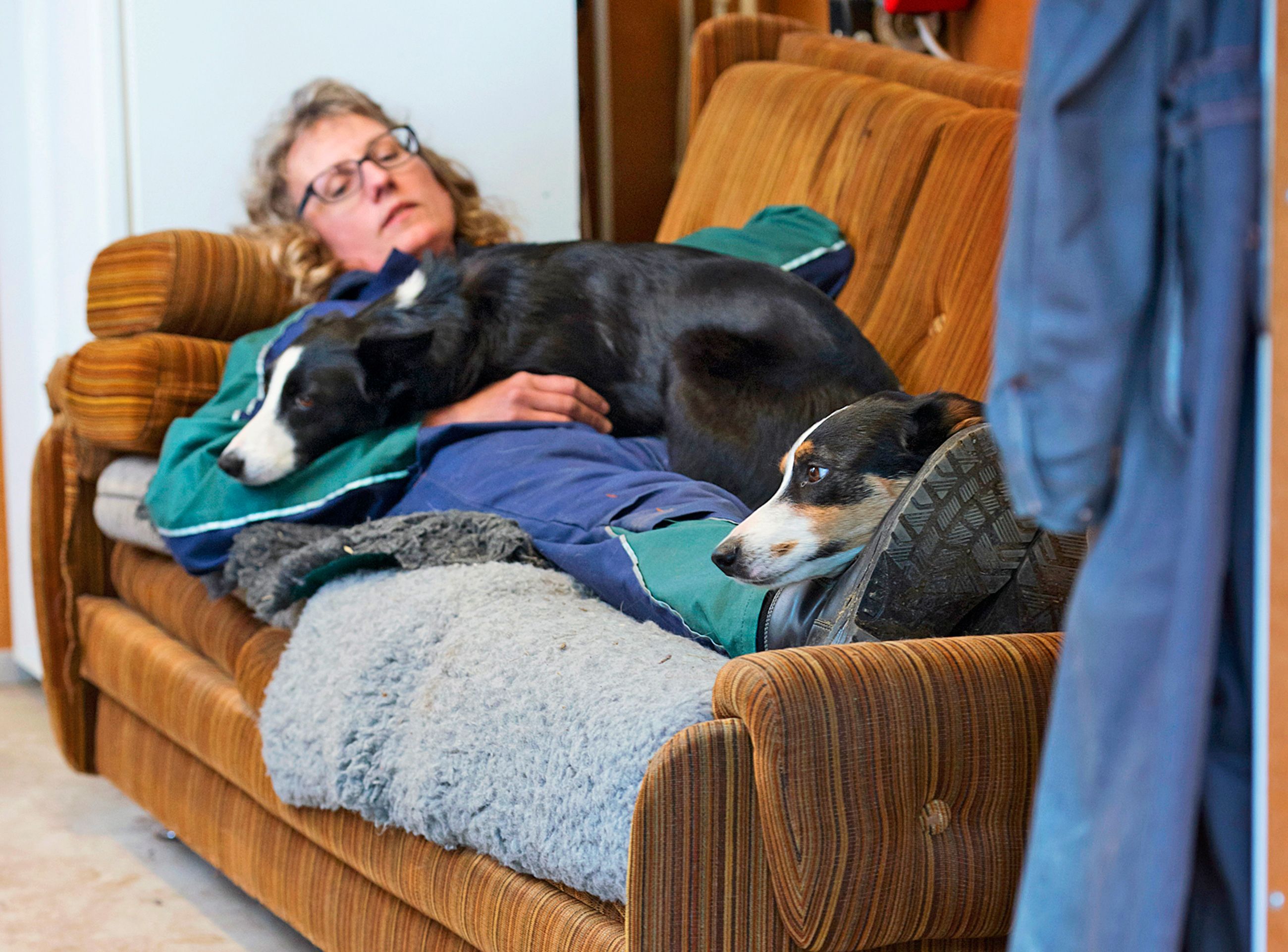 Kun lampaat karitsoivat, Peppi valvoo vuorokausia. Lampolan sohvalla voi ottaa pikatorkut.