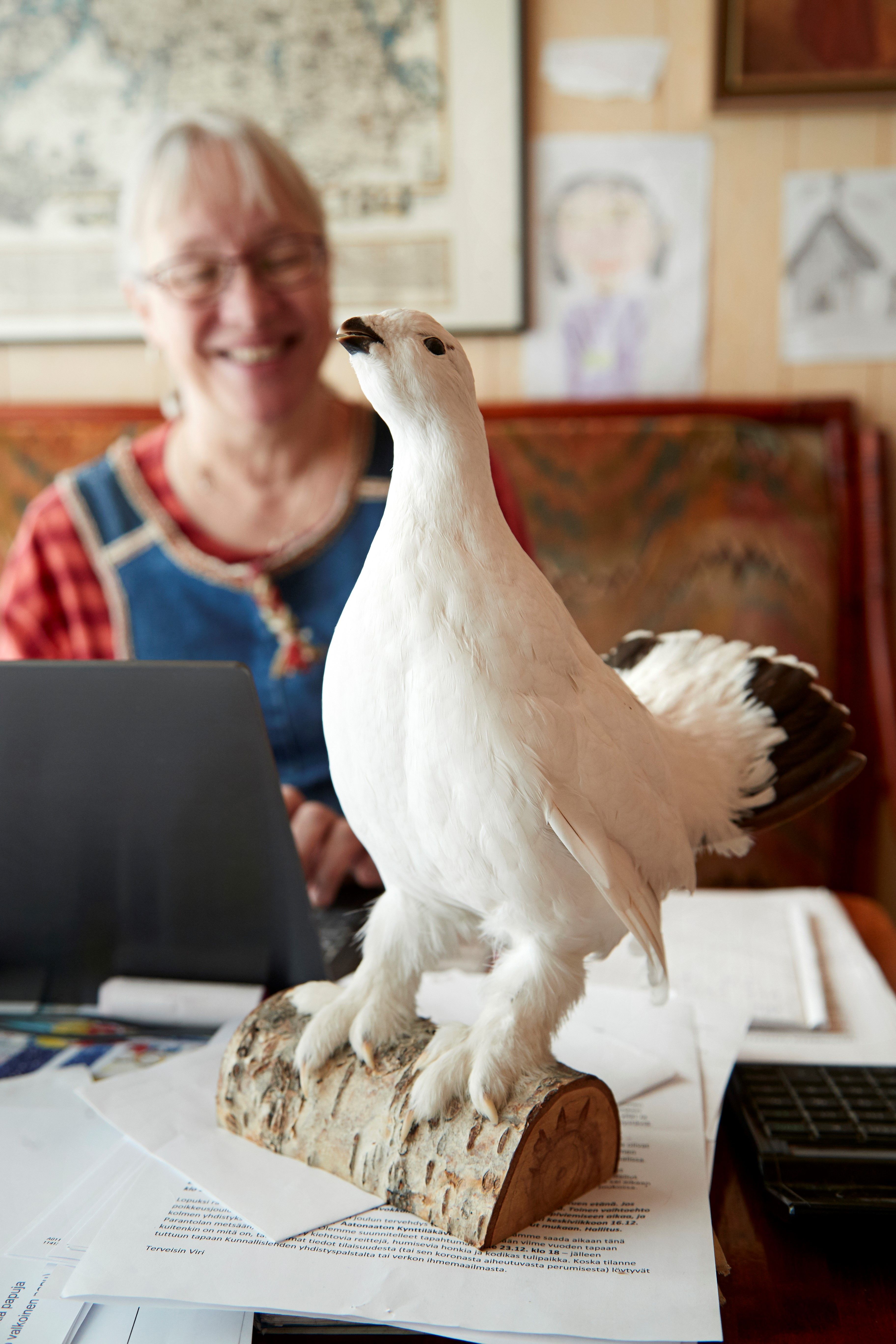 Yksi Helenan aarteista on täytetty riekko. ”Sen nimi on Tynkkynen. Ostin sen vuonna 1994 Lapista, kun olin saksalaisturistien matkaemäntänä. Nimi tuli siitä, että minulla oli Tynkkynen-niminen lähiesimies.”
