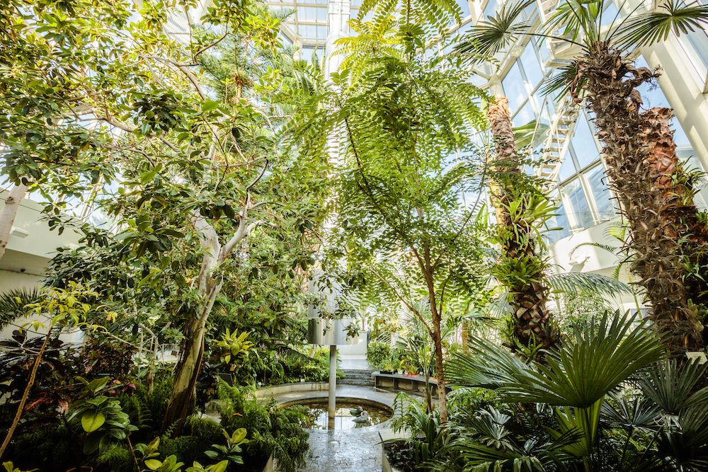 Ihan kuin olisi päätynyt tropiikkiin!