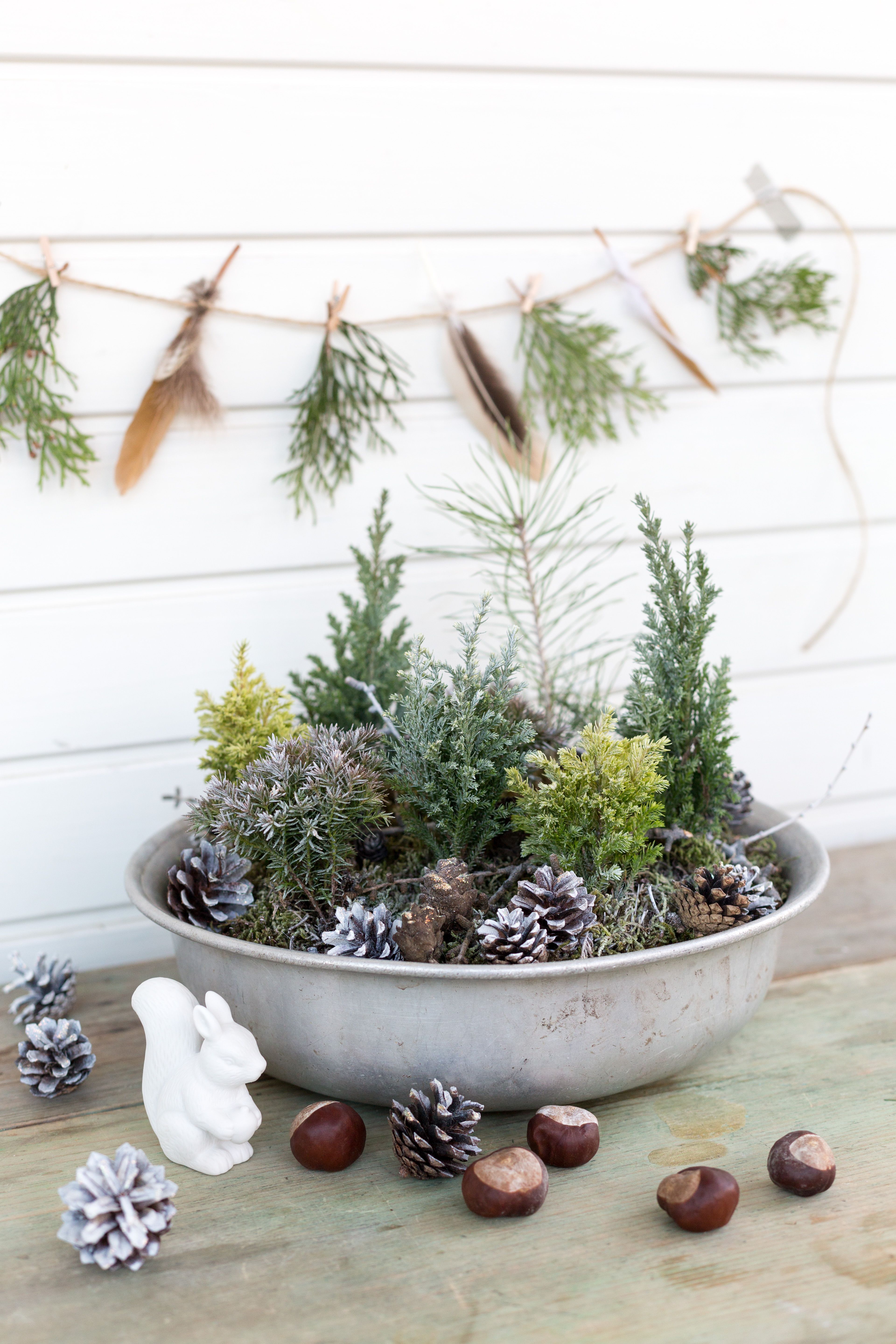 Istuta pesuvatiin minimetsä. Suihkaus valkoista spraymaalia saa aikaan huurteisen tunnelman. Tuijan oksista, sulista ja hamppunarusta syntyy helppo jouluköynnös.