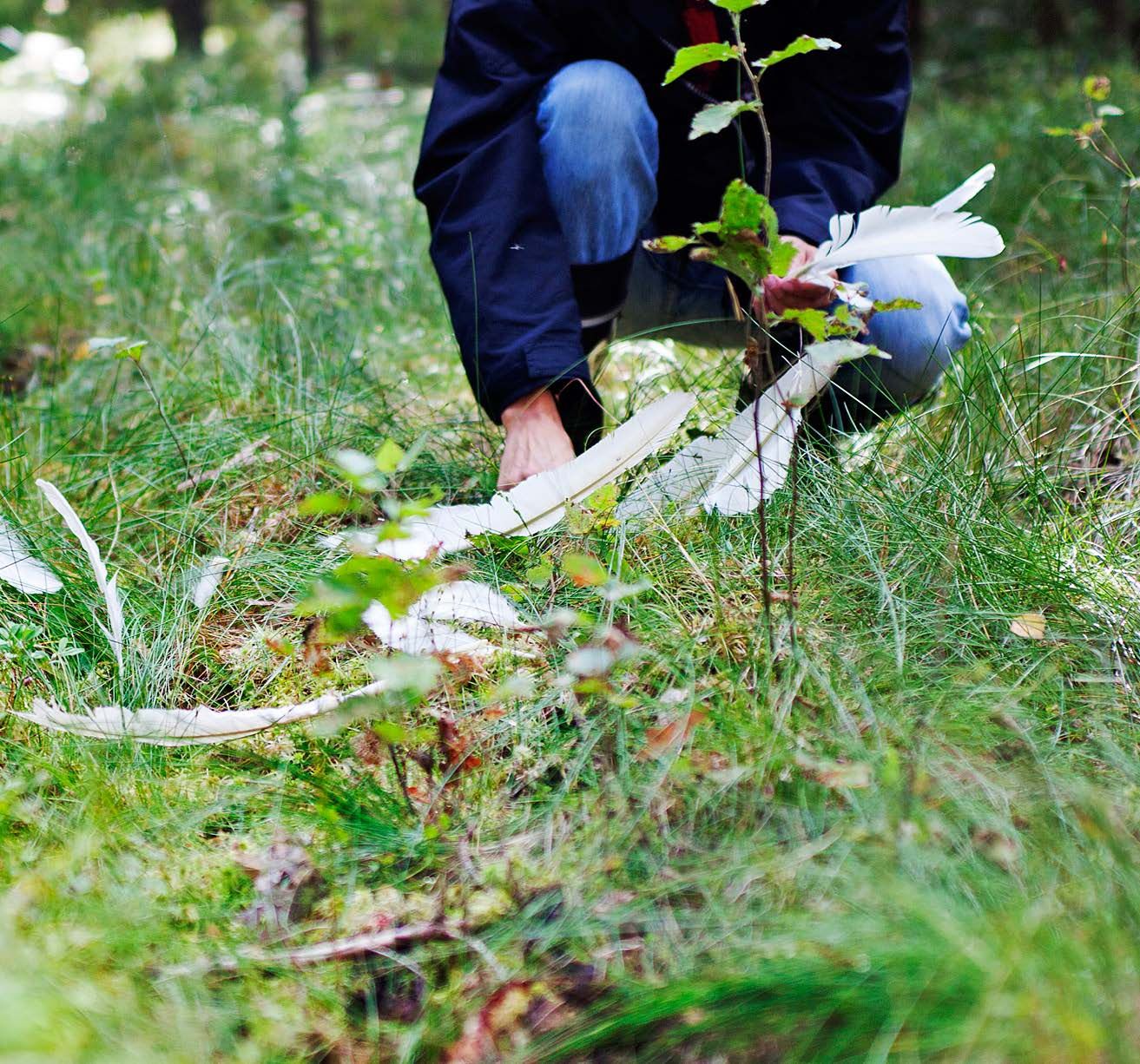 Kaarinan perheeseen kuuluvat seinässä asuvat oravat, joka vuosi samalle järvelle palaavat joutsenet ja maakellarin takana pesivät kurjet, jotka eivät enää pelkää häntä.