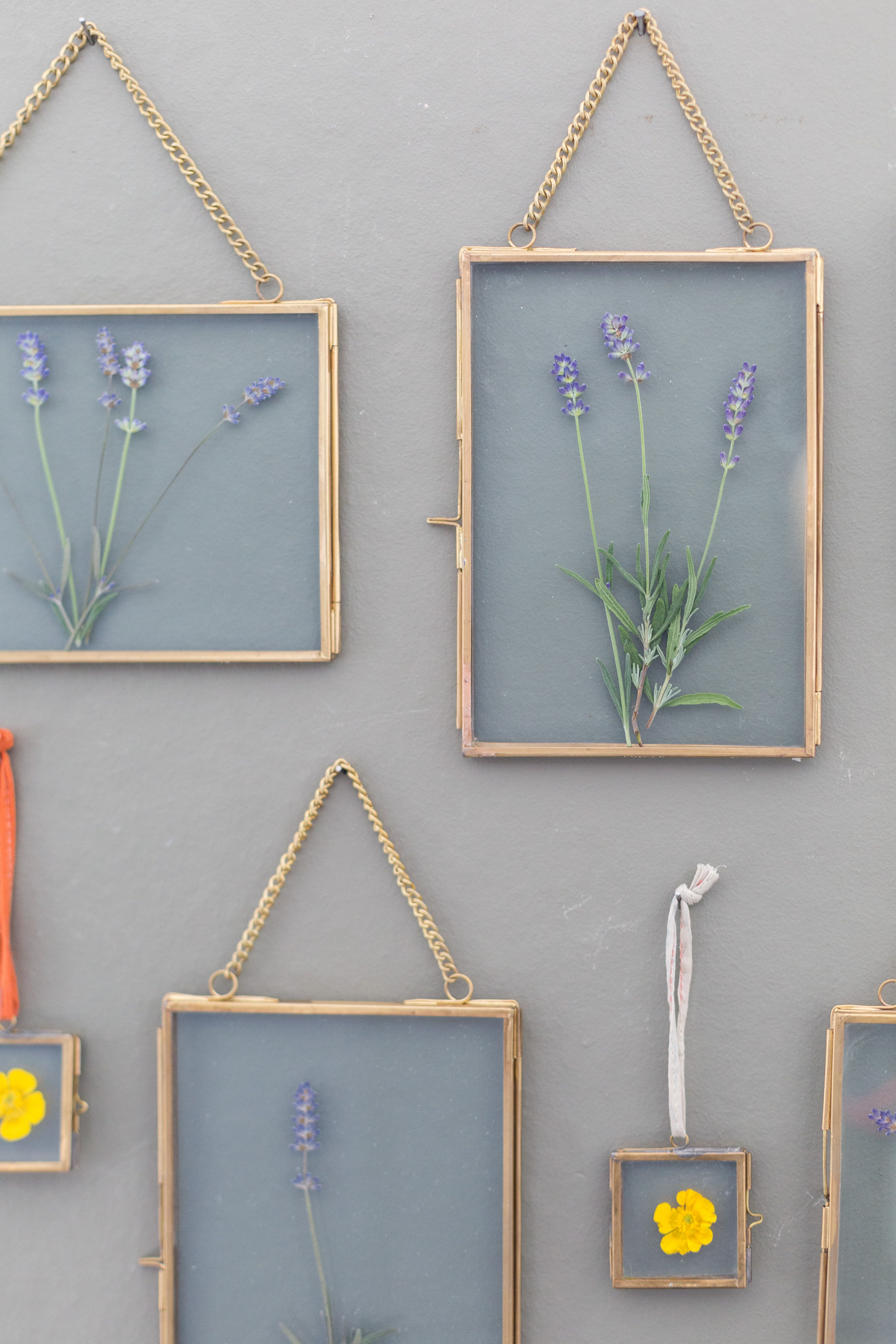 Lasisista kehyksistä kasvit näkyvät molemmin puolin, joten ne voi ripustaa myös ikkunaan. Laventelin viettelevä tuoksu ja herkkä väri säilyvät hyvin prässätessä. Kuva Annabelle Antas.