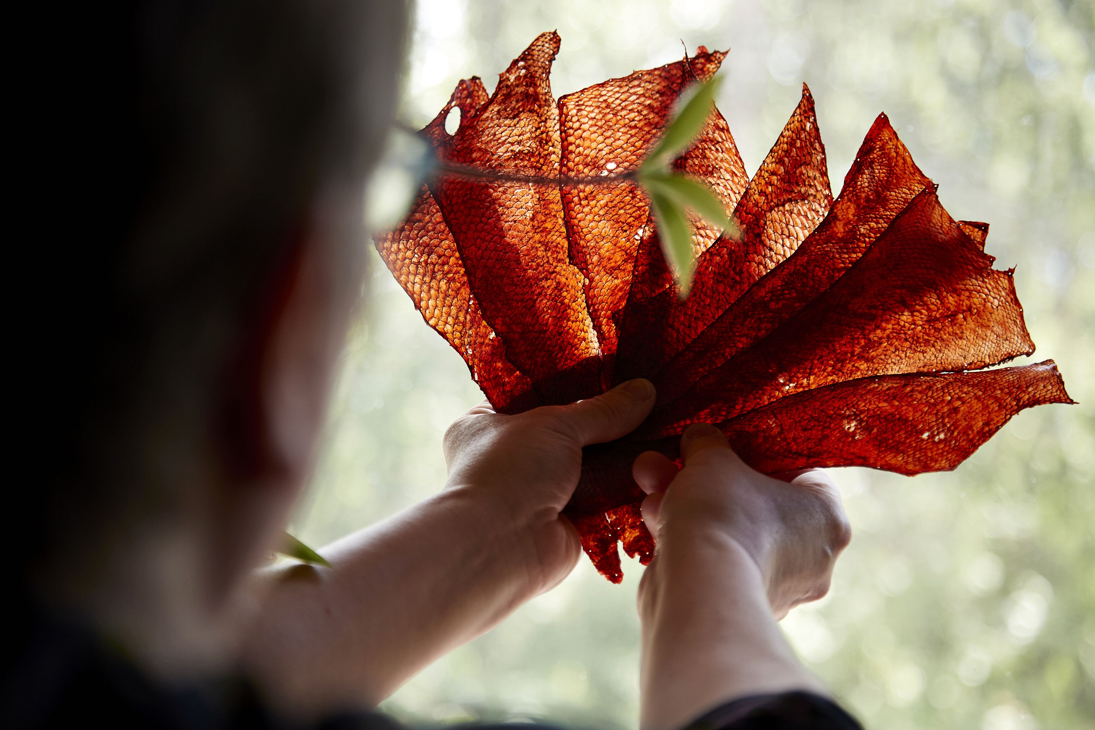 Valmiista nahoista voi ommella vaikka kalastajamiehelle kravatin.