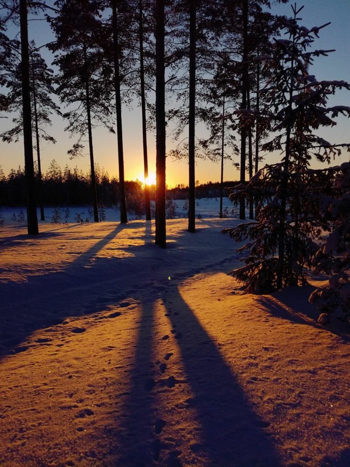 Tammikuussa Sotkamossa. – Anu Ruotsalainen