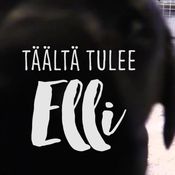KK Elli löytää luun