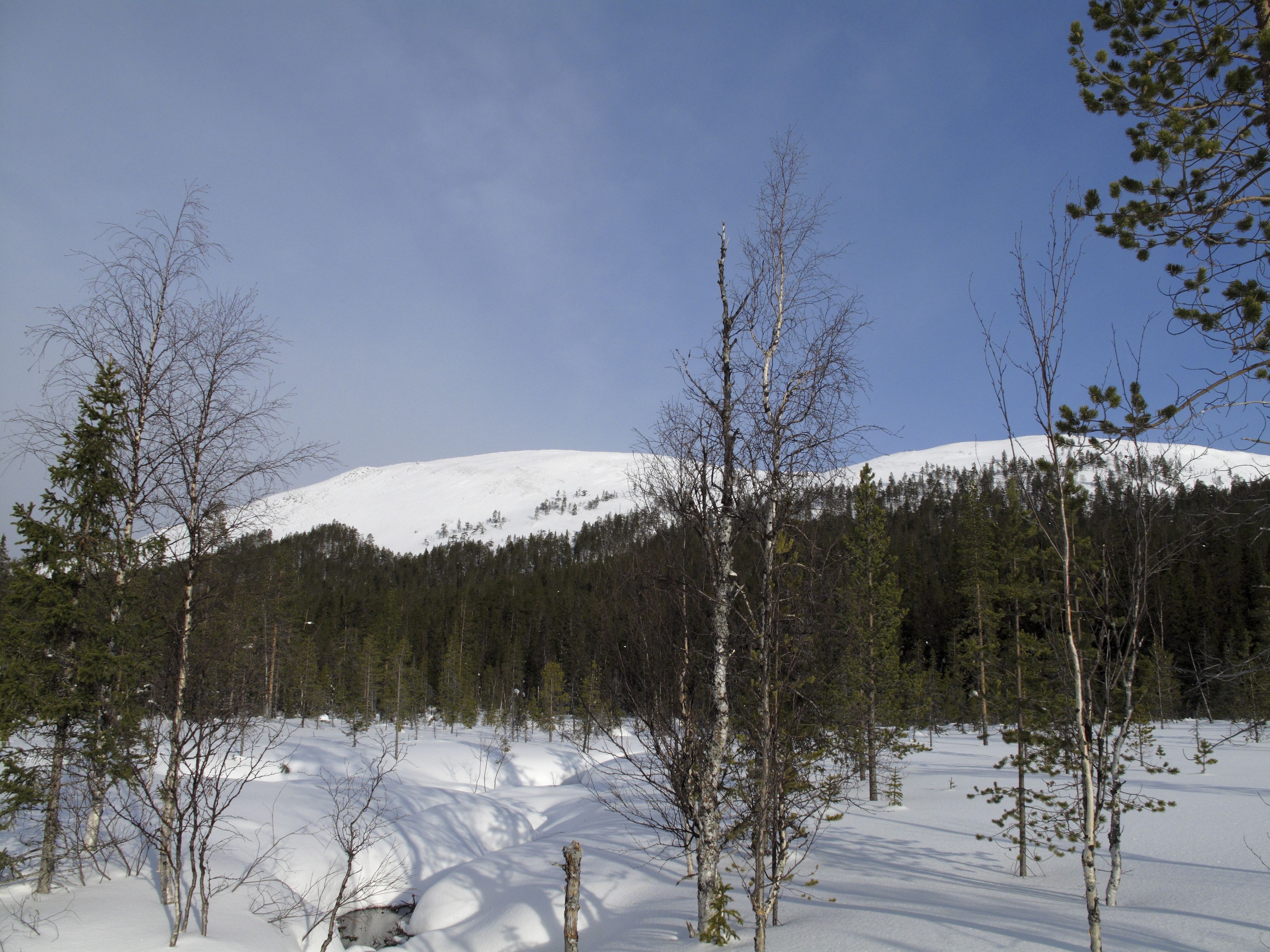 Uusi rakkaus löytyi hiihtoladulta Ylläksellä.