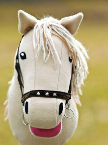 Hevosen värin voi valita sen ratsastajan kanssa yhdessä.