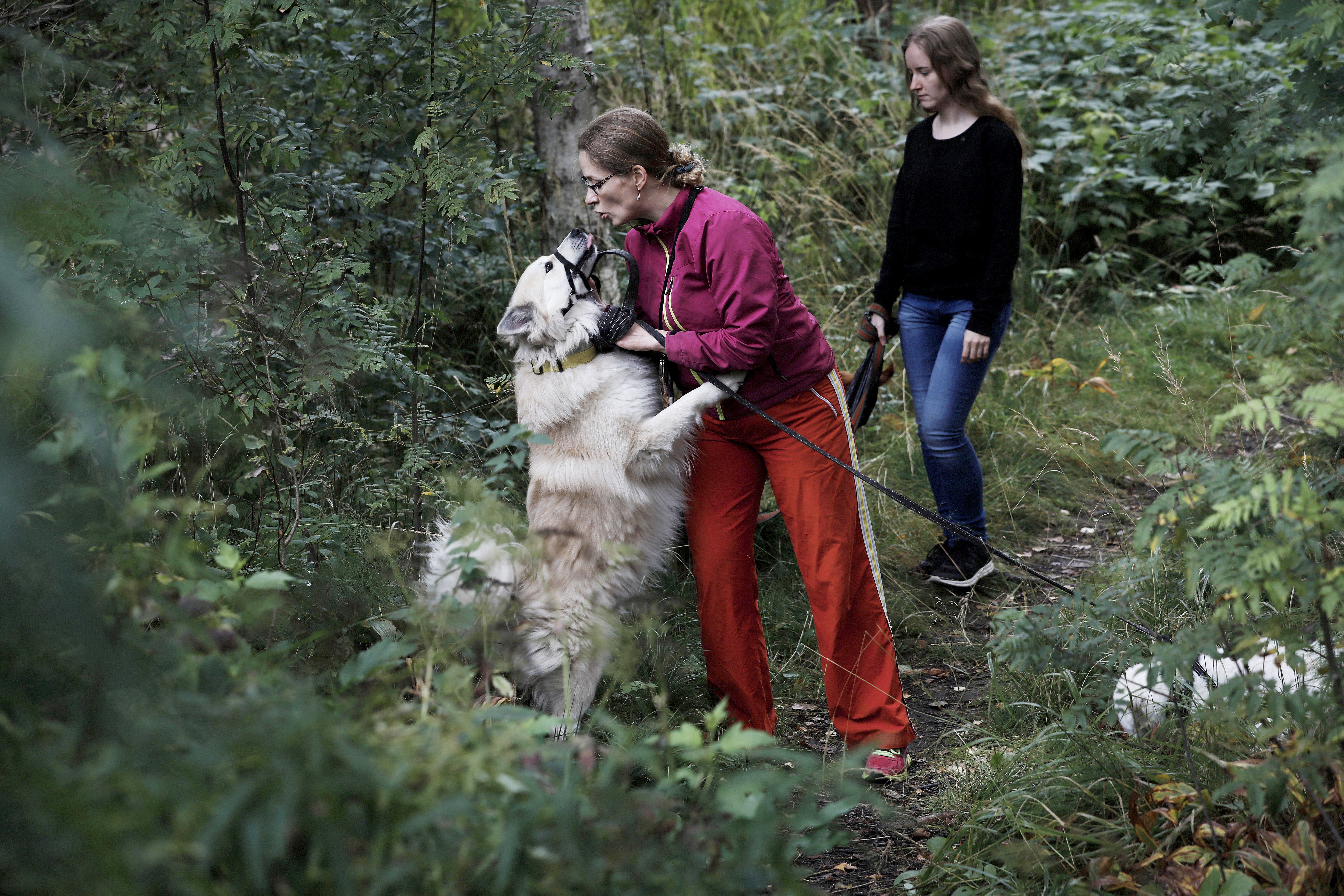 ”Koirien kanssa metsässä kulkeminen palauttaa nopeammin kuin mikään muu”, Salina sanoo. Toivo tervehtii Salinaa, lenkkiseurana Olivia.
