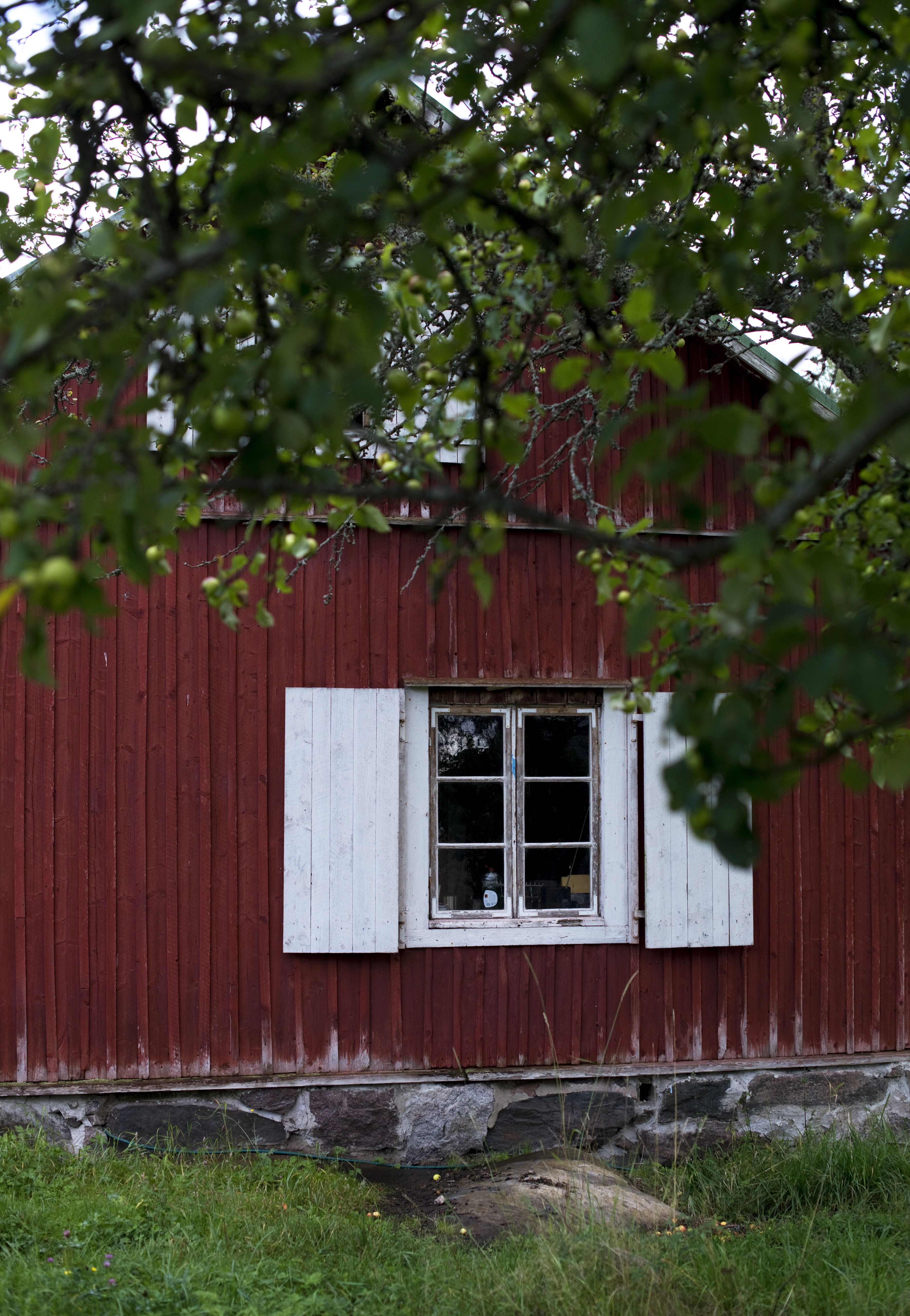 Merja haaveilee siitä, että tilalle tulisi vielä joogasali.
