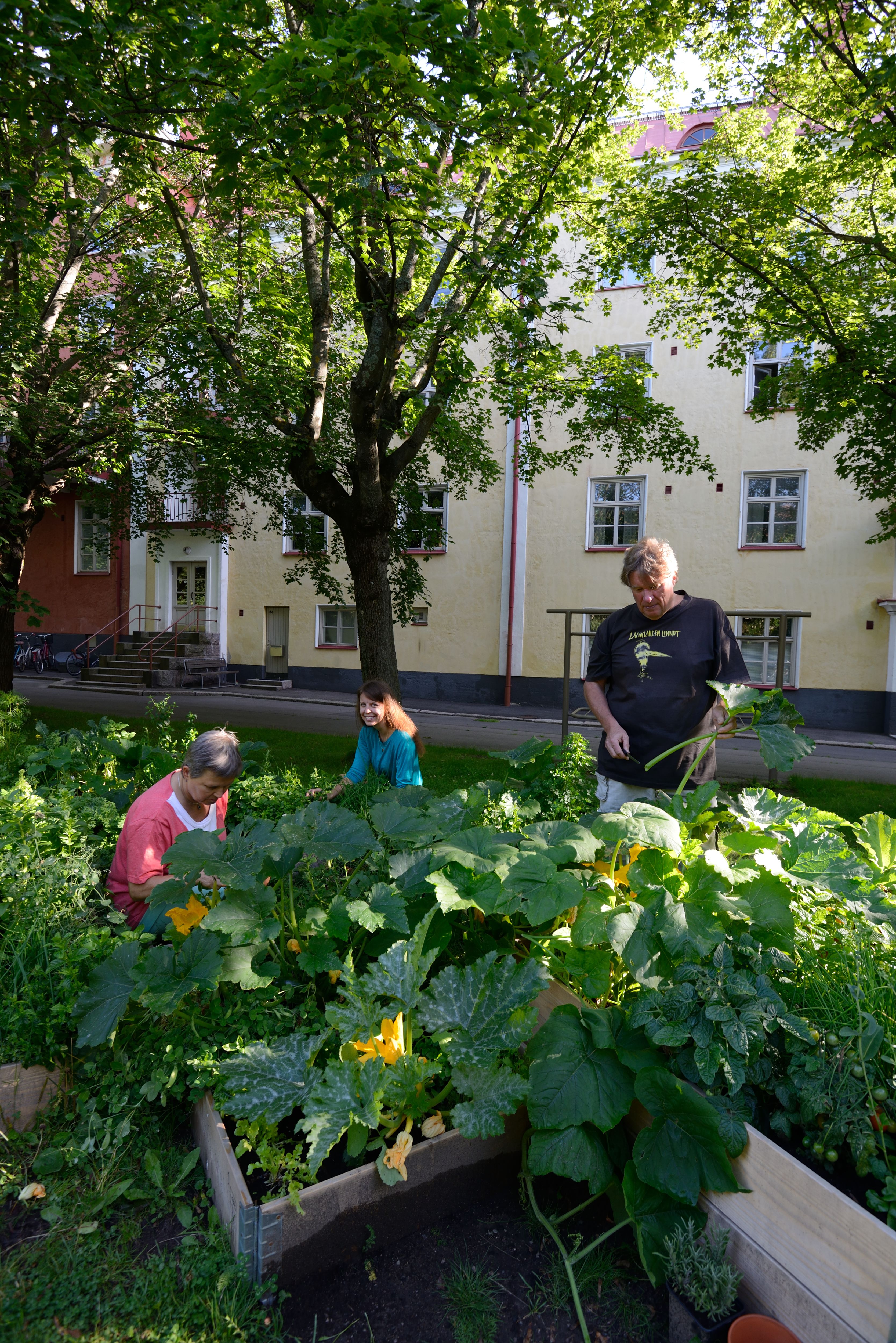 Pihalla viihtyy kun on seuraa, tekemistä ja silmäniloa. 