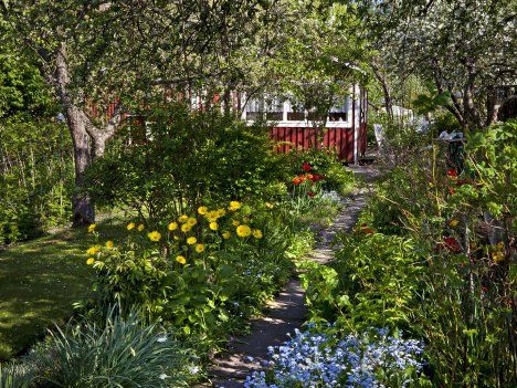 Kun kesä on komeimmillaan, punainen mökki ei juuri erotu kukkaloiston lomasta.