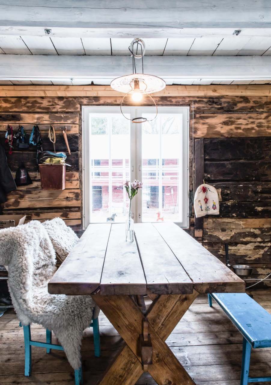 Teetetyn lankkupöydän äärellä Miska ihaili pihapiiriä joka aamu kahvia juoden.