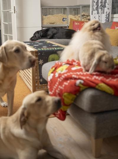 Työpäivän jälkeen Pepi kaipaa omaa aikaa. 