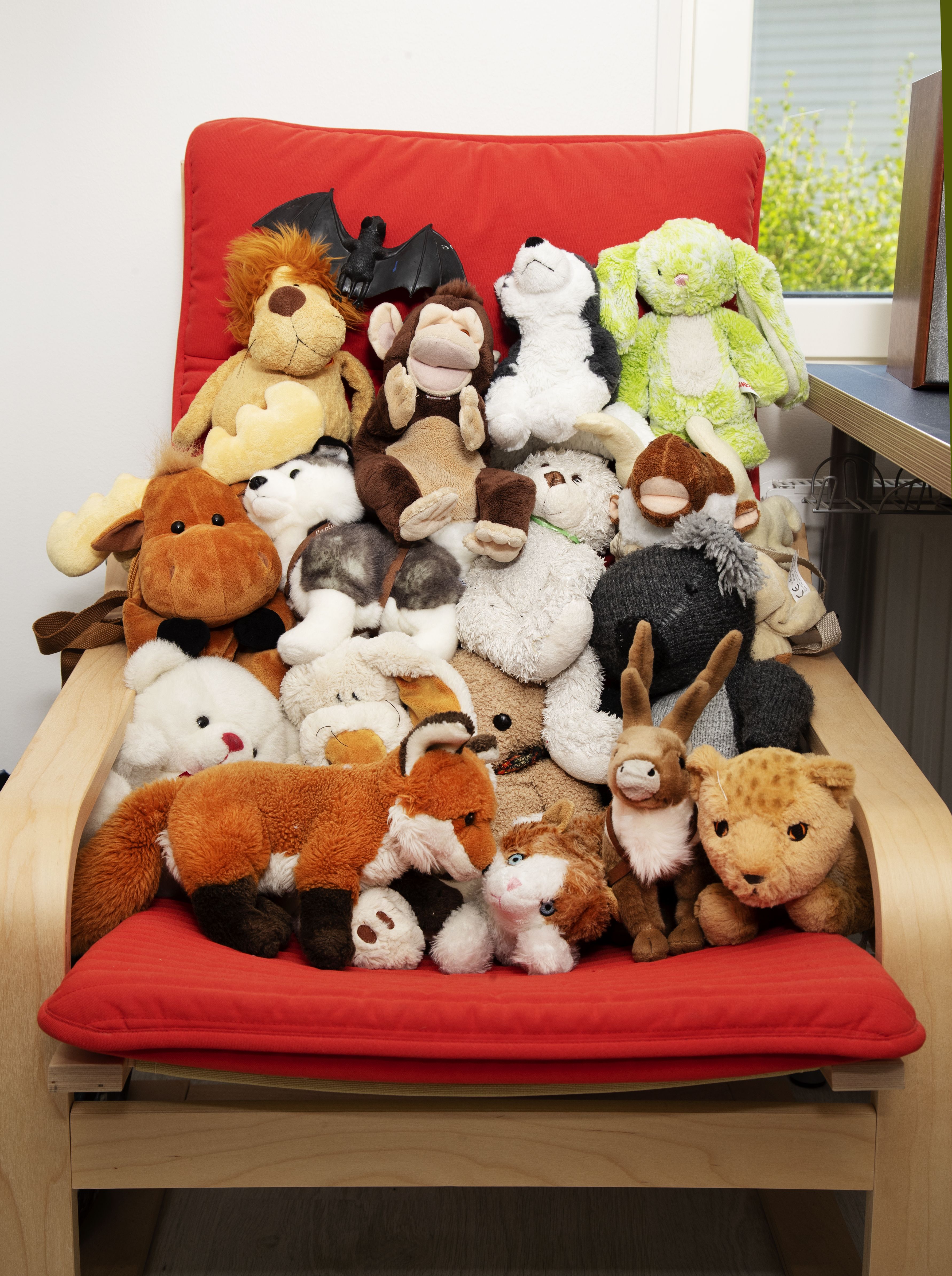 Rakkaus luontoon ja eläimiin jatkuu seuraavassa sukupolvessa.