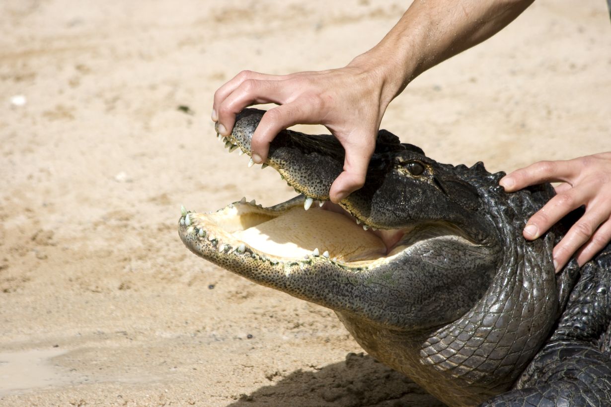 Tällaisia ovat työpaikkakiusaajat ja näin selviät heistä