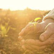 Viisi asiaa, joita emme tajua vanhuksista