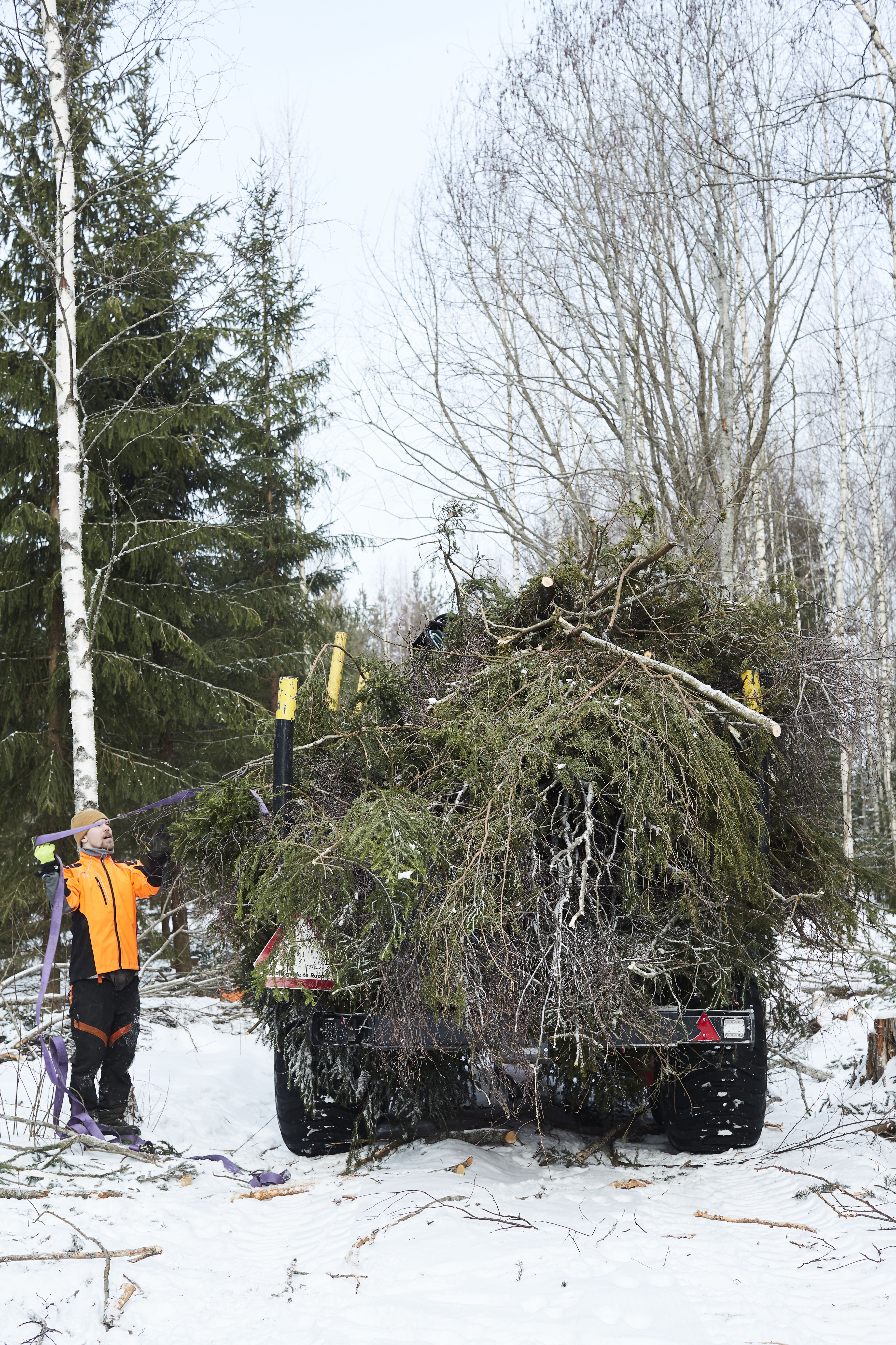 ”Varmaan olisin voinut jatkaa uraa pidempäänkin, mutta ihan hyvä näin. Metsässä on hyvä olla”, Roope sanoo. 