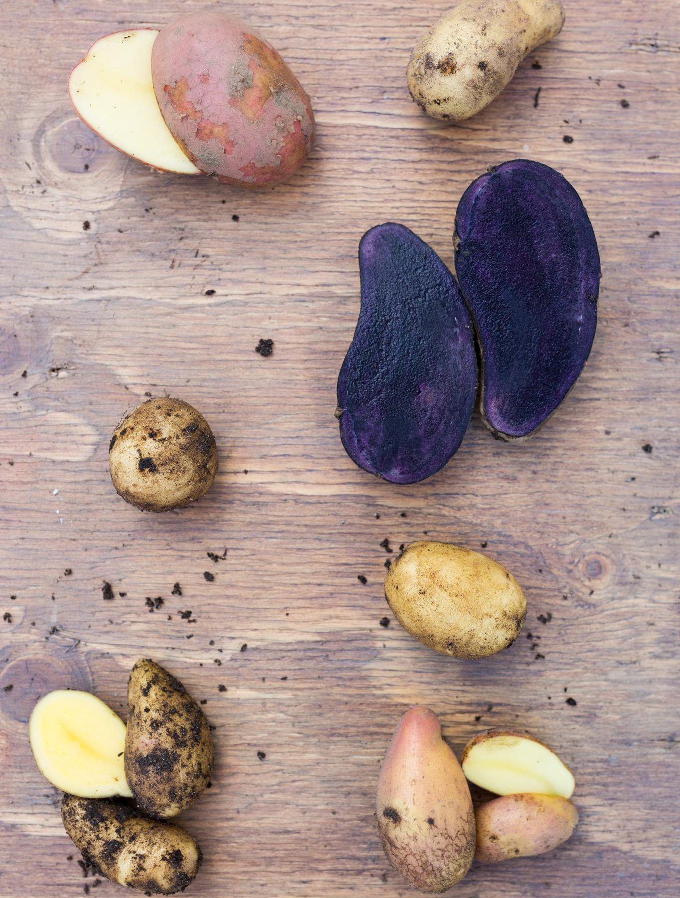 Kuvan lajikkeet ylhäältä vasemmalta: Rosamunda, Parsaperuna Asperges, Princess, Shetland Black, Jesterm Mandel, Inca Bella.