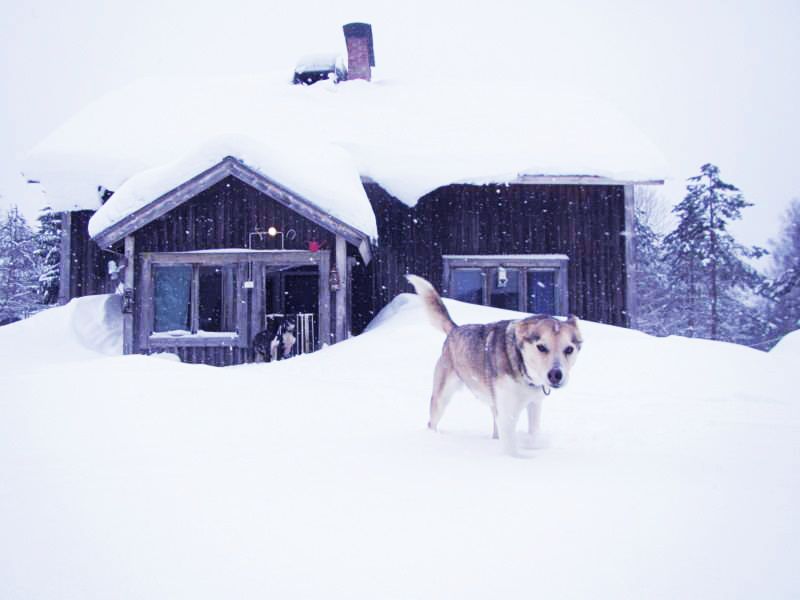 Tässä metsämökissä on asuttu jo liki sata vuotta.