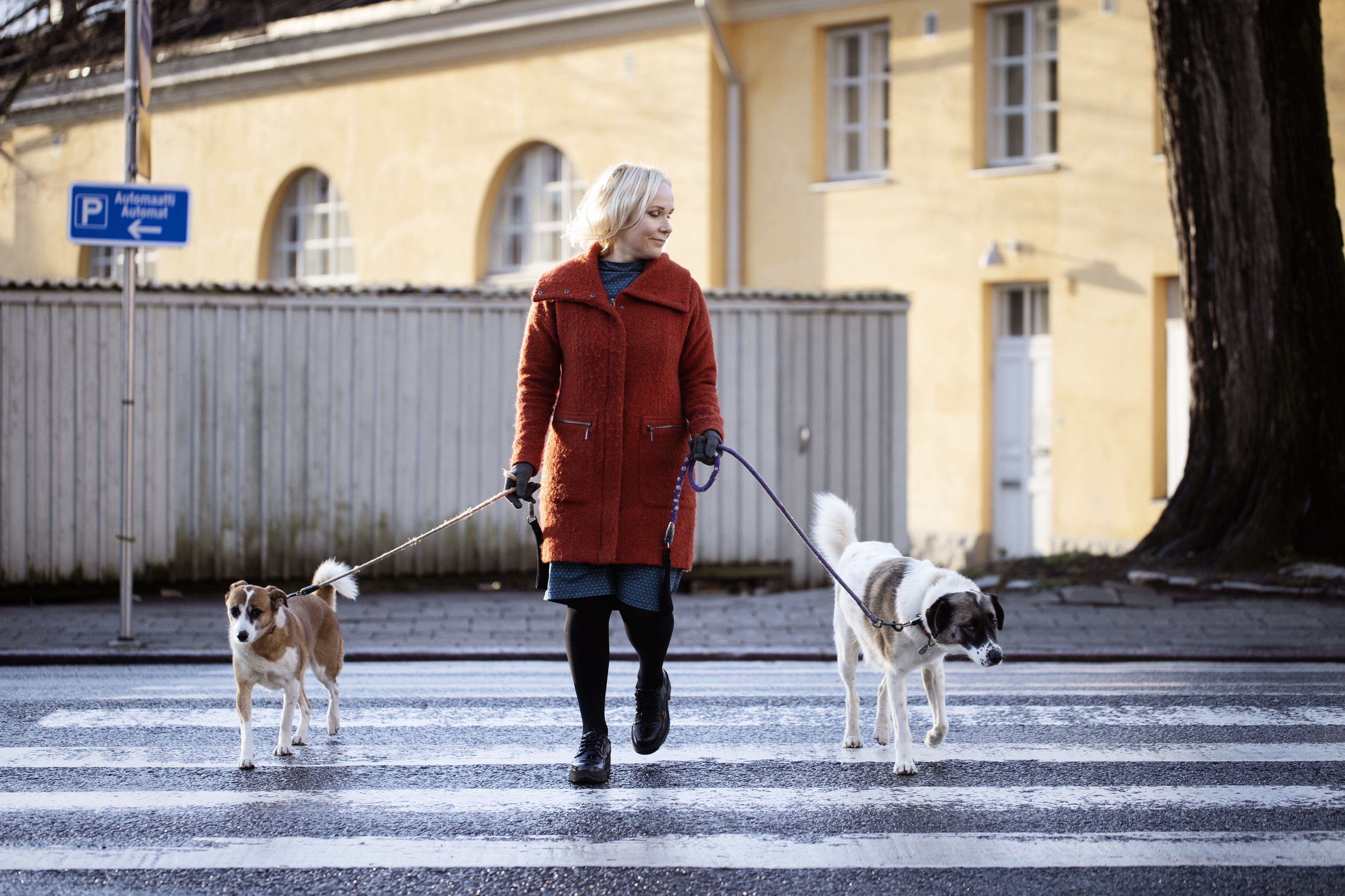 ”Minulla on ollut koiria aina. En edes ymmärrä, miten ihminen voisi elää ilman koiraa”, Elisa Aaltola sanoo.