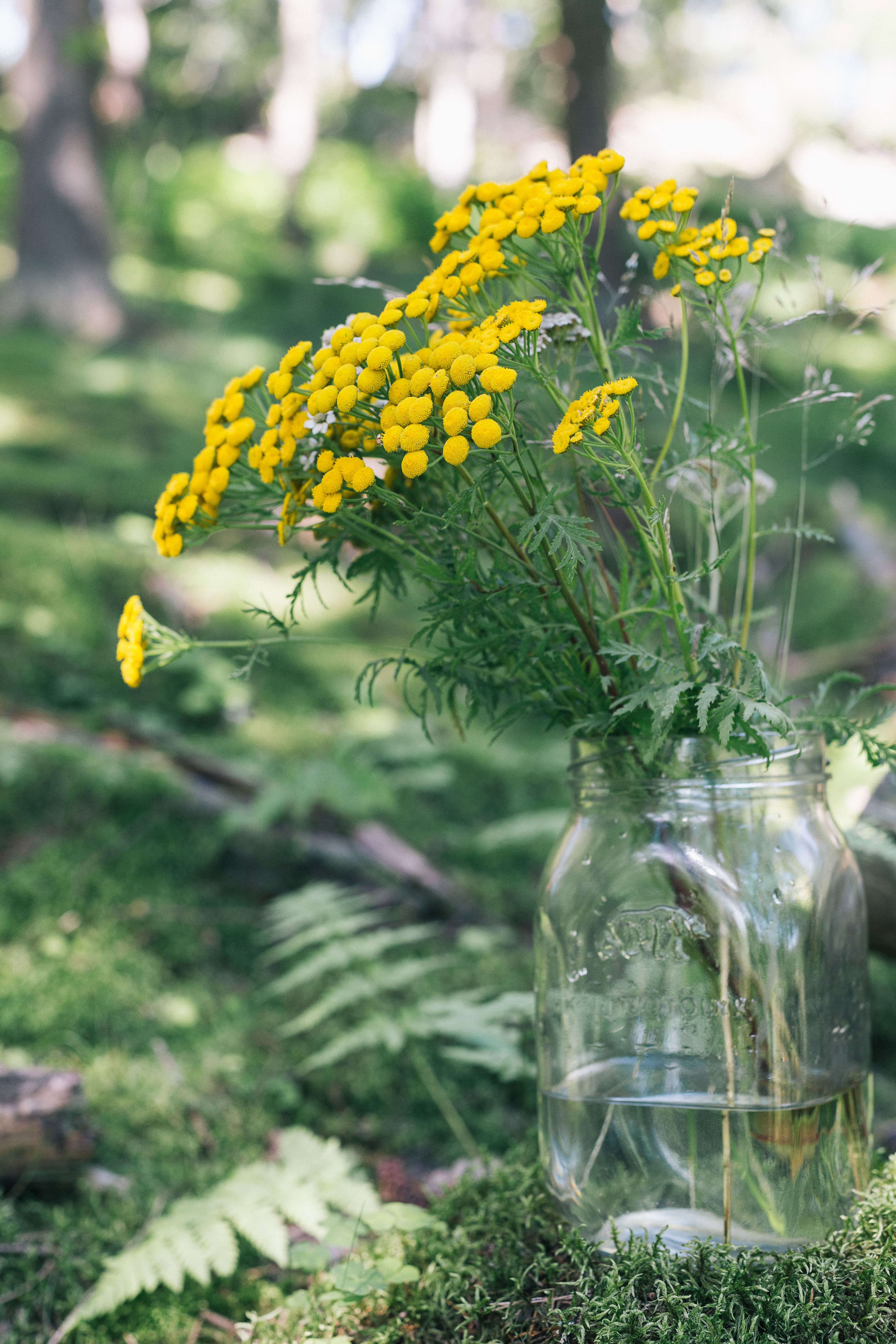 Suuri lasitölkki on mitä parhain vaasi. Pietaryrtistä saa pirteän kimpun.