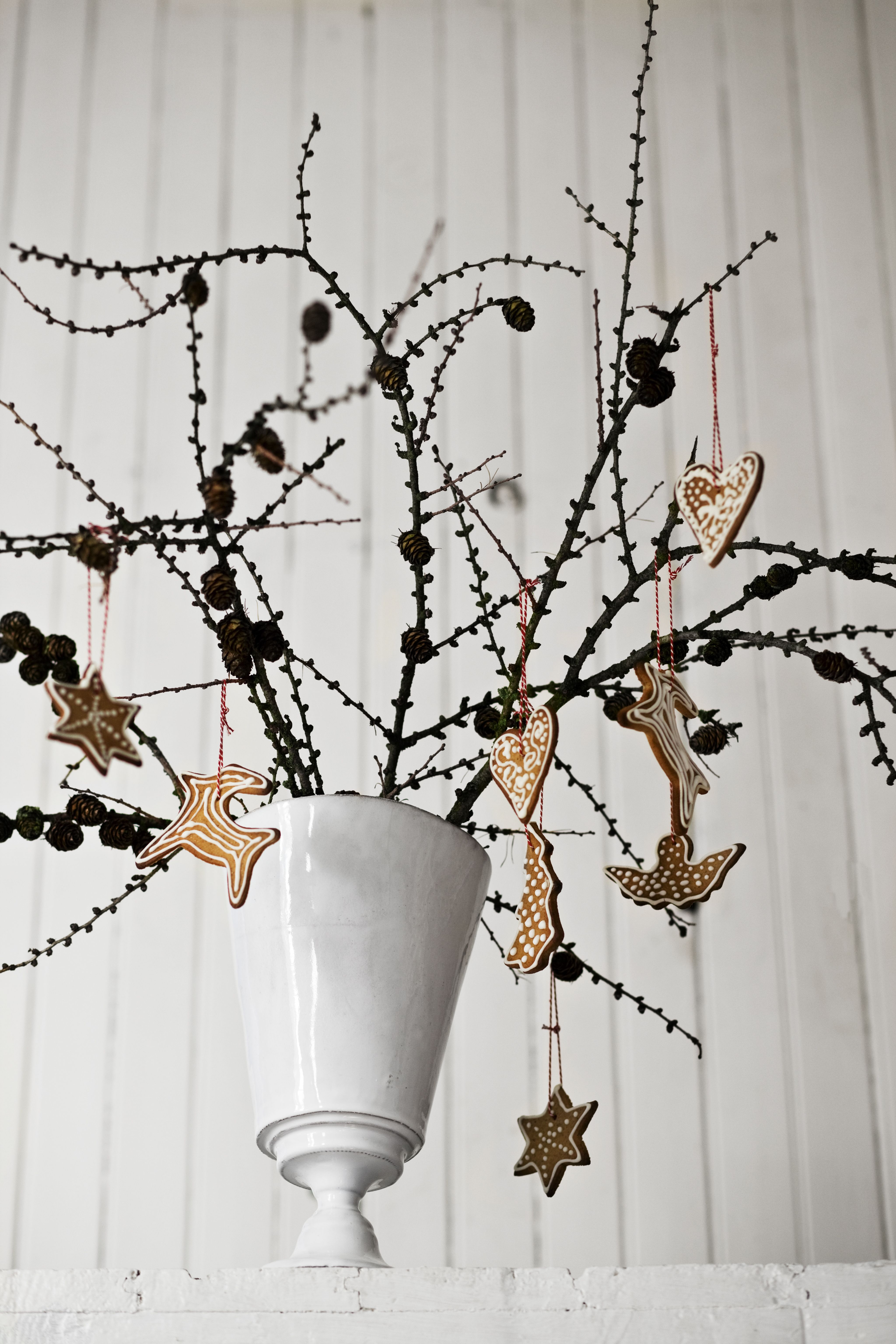 Myös kauniit lehdettömät oksat sopivat joulupuuksi. Graafisten oksien lomasta piparit erottuvat kauniisti.