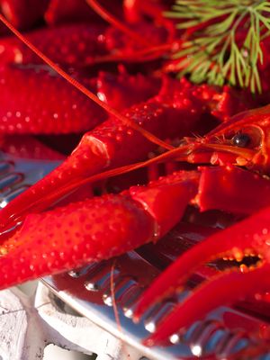 Rapujuhlissa ravut ovat pääosassa, mutta muutamalla lisäruualla vieraiden vatsat täyttyvät varmasti.