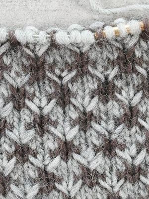 SK Kaksivärinen sarvineule