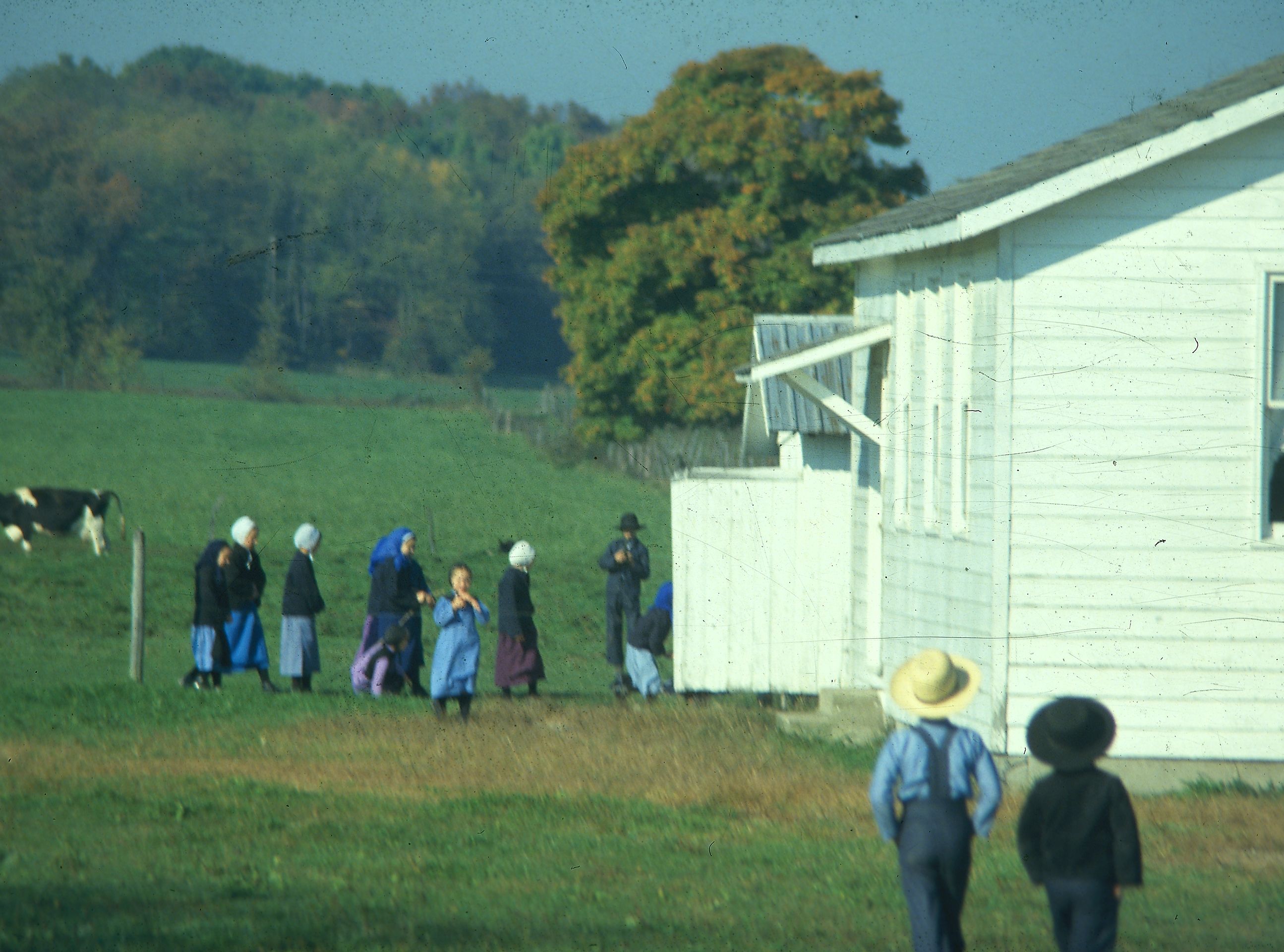  Amissikoulut ovat yksihuoneisia ja väriltään valkoisia.