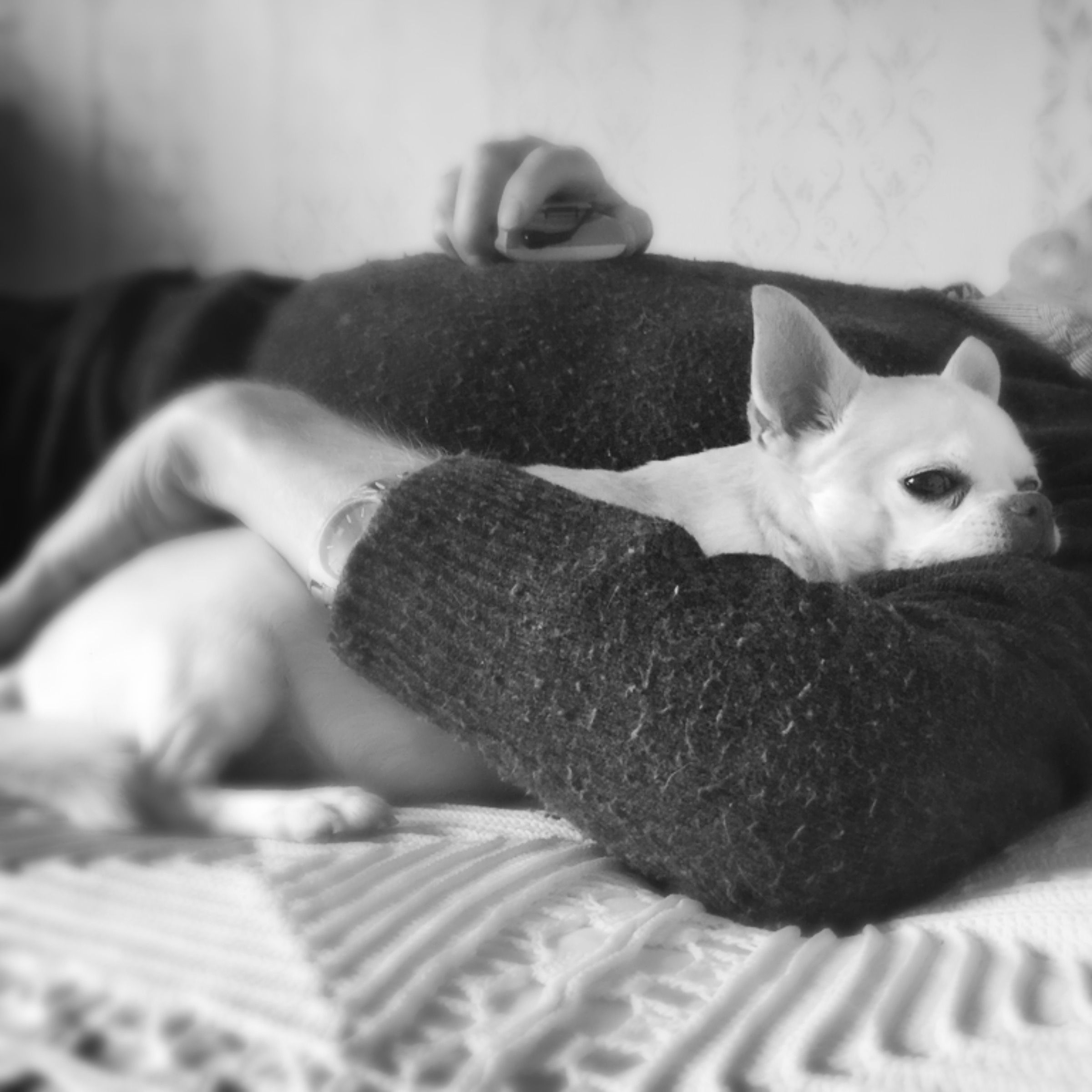 Isä ja Topi päiväunilla.