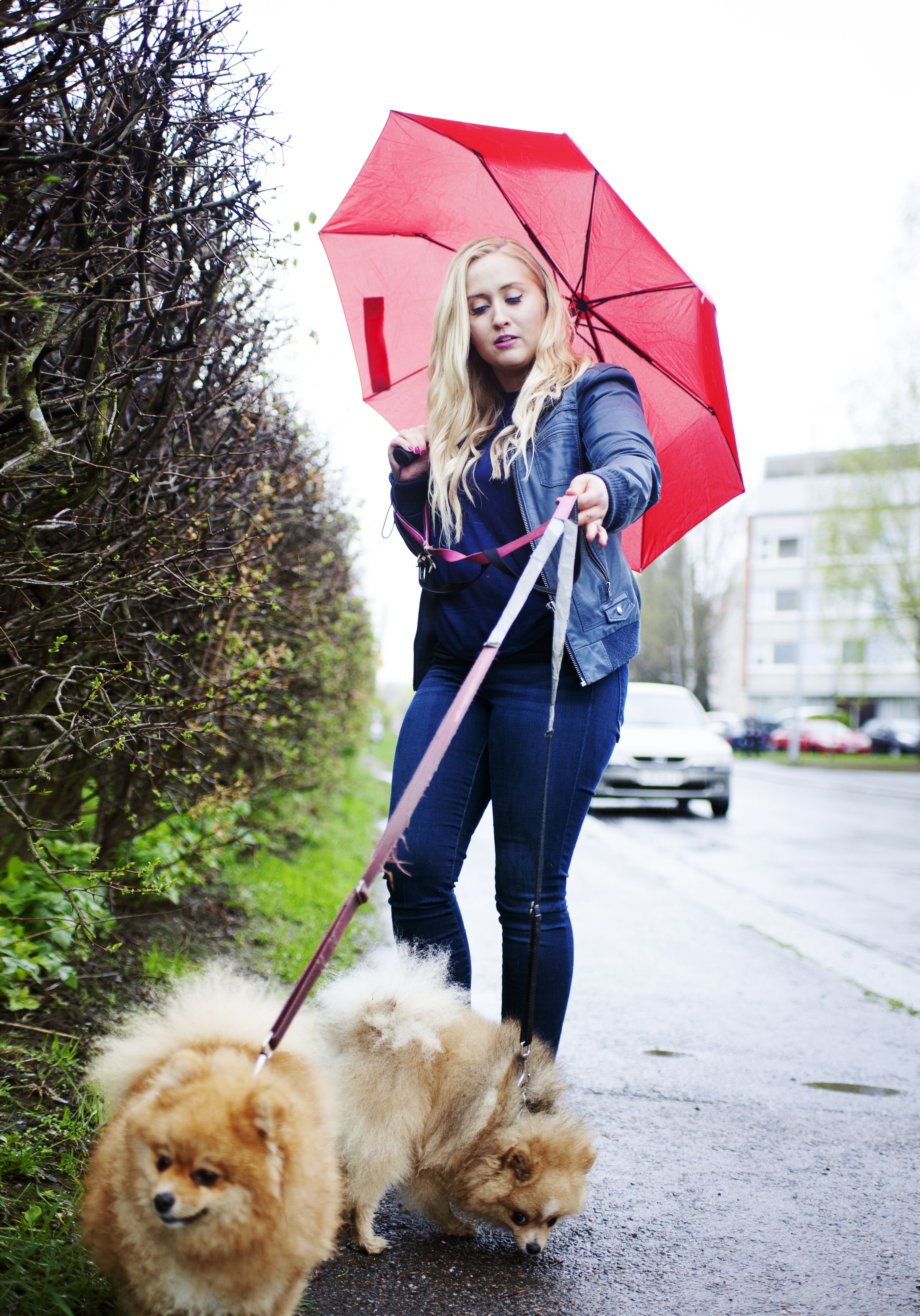 Kun Nora Valkeeniemipääsee sairaalasta kotiin, hän lähtee Leon ja Nessan kanssa ulos. Paha mieli pienenee.