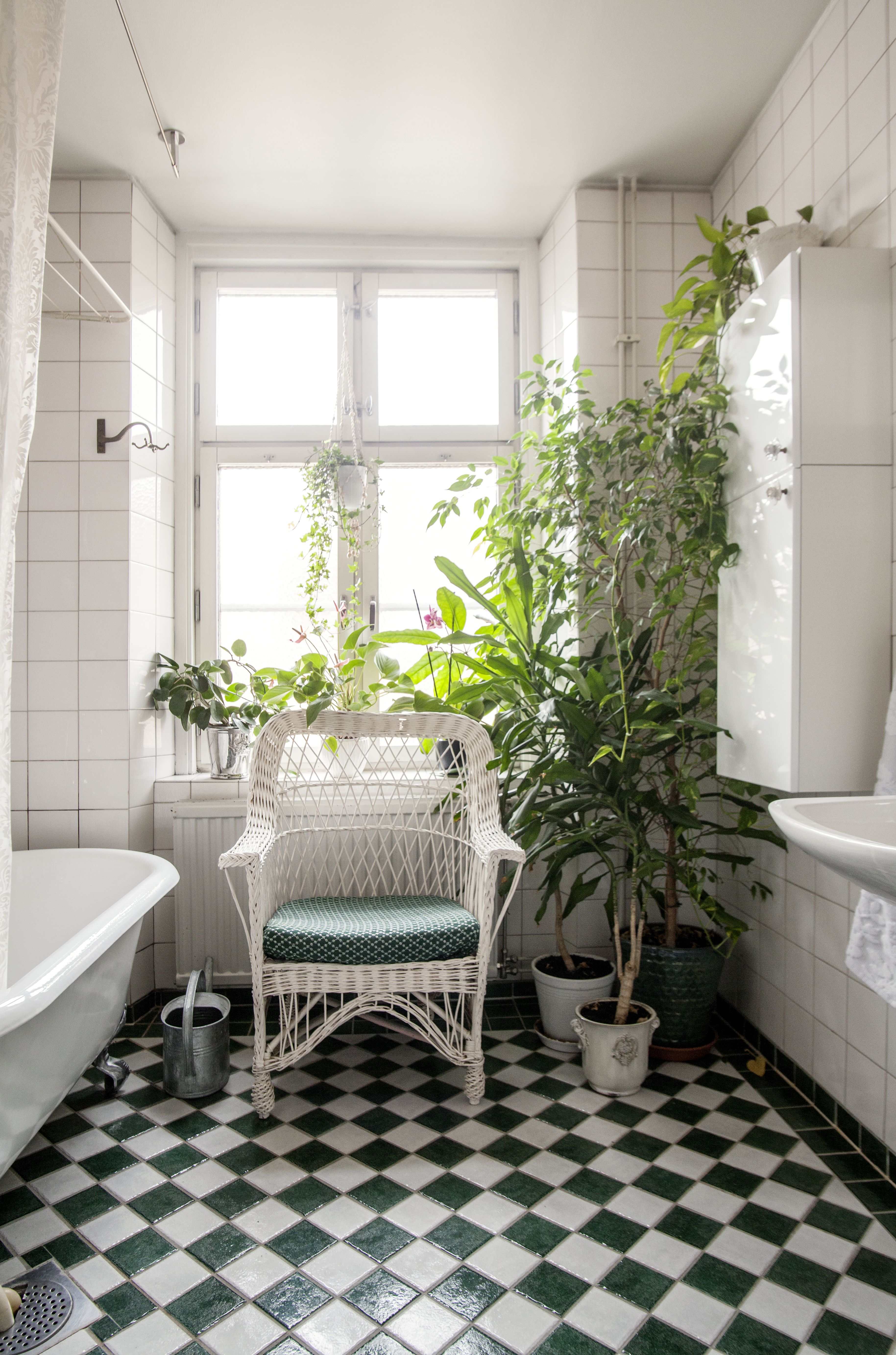Viherkasvit viihtyvät kylpyhuoneessa.